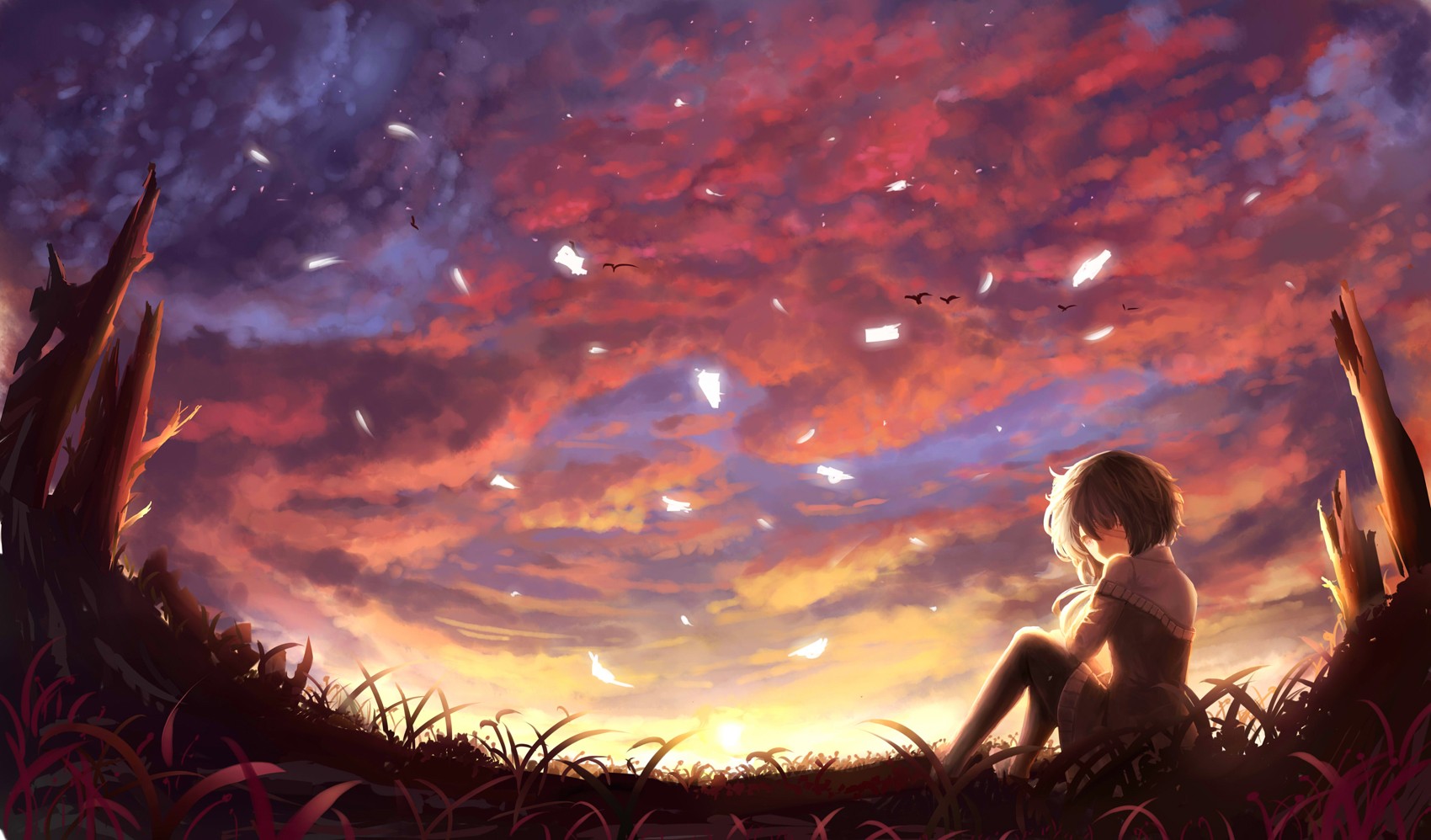 Anime girl sitting on grass watching sunset with birds HD Wallpaper