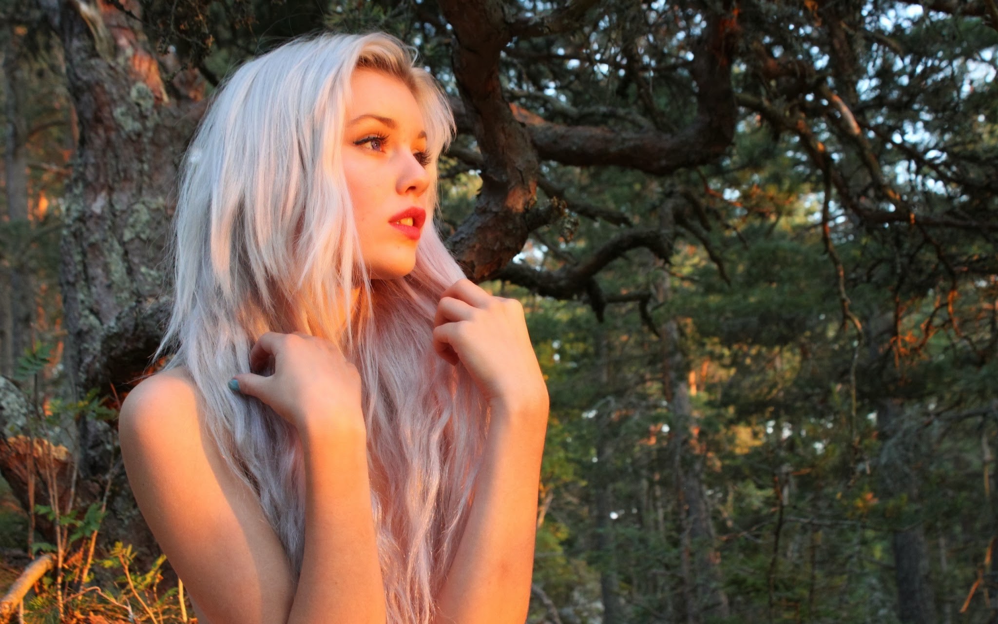 Blonde woman with blue eyes in a forest HD Wallpaper