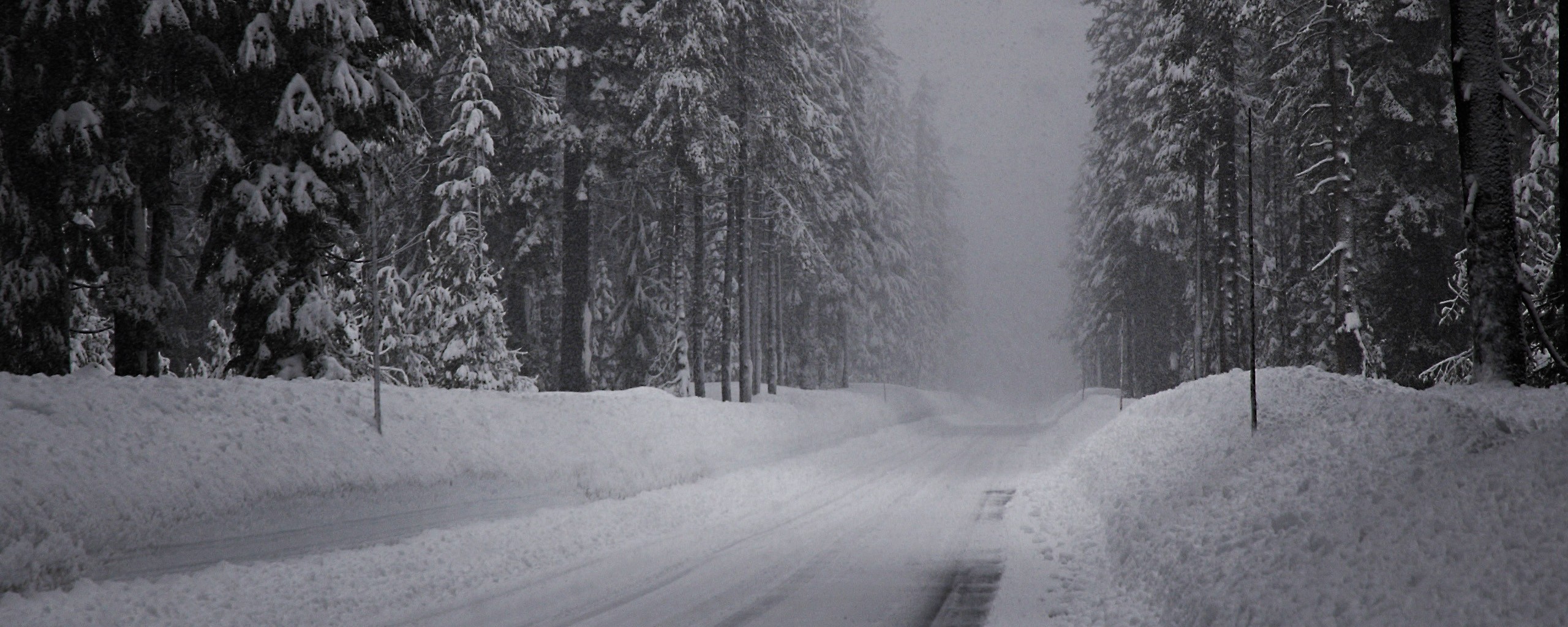 Snowy road through a winter forest HD Wallpaper
