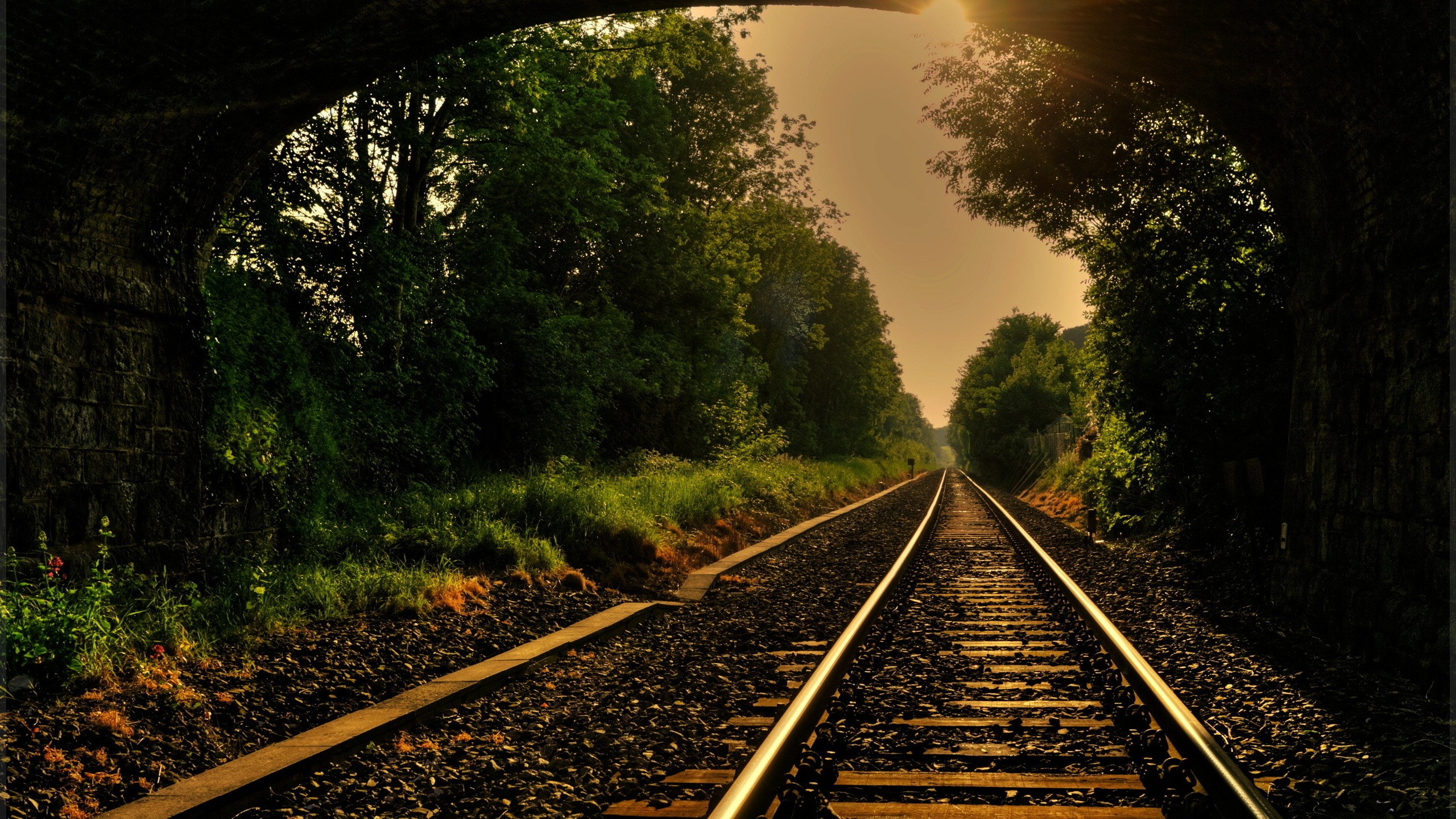 Railway tracks leading through a tunnel and forest HD Wallpaper