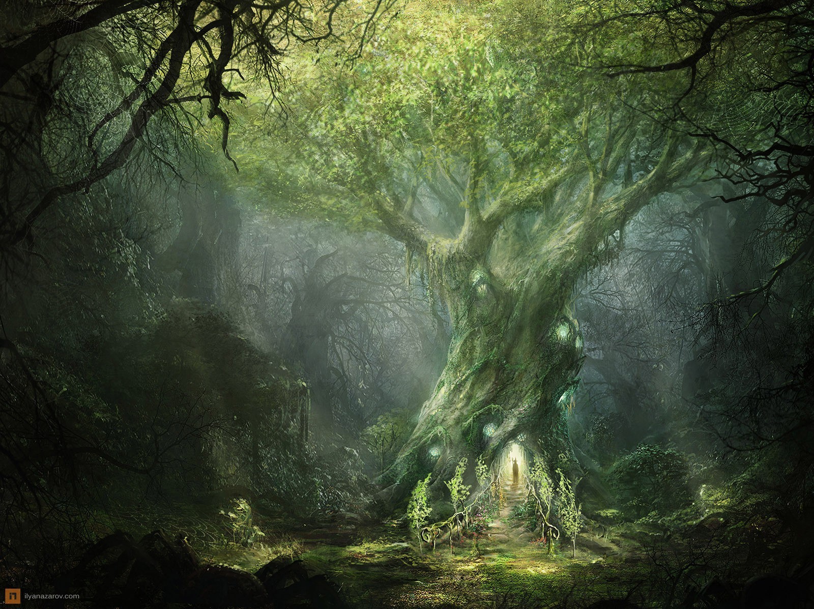 Fantasy forest with a giant ancient tree HD Wallpaper
