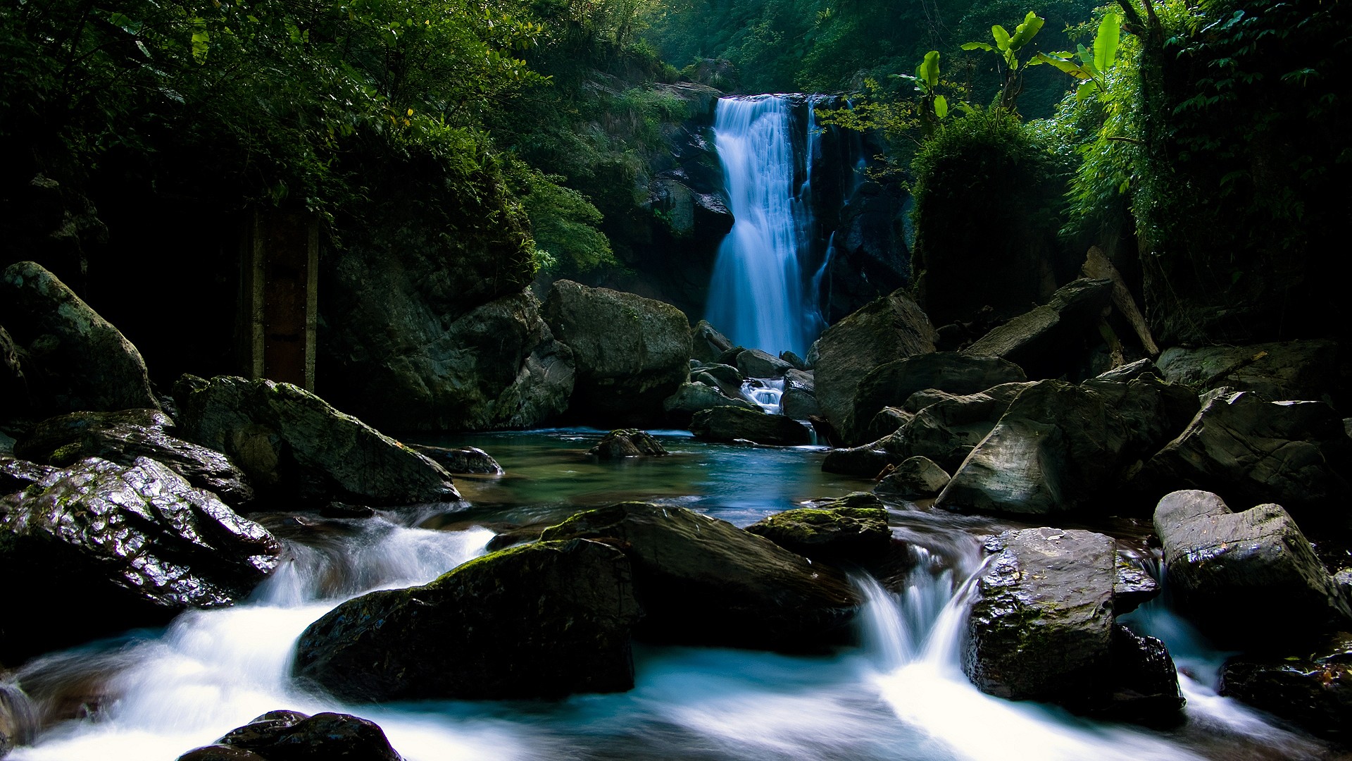 Waterfall in a dense forest with rocks HD Wallpaper