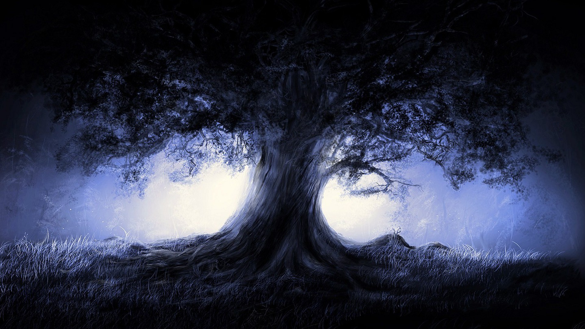A dark, gnarled tree in a misty forest HD Wallpaper