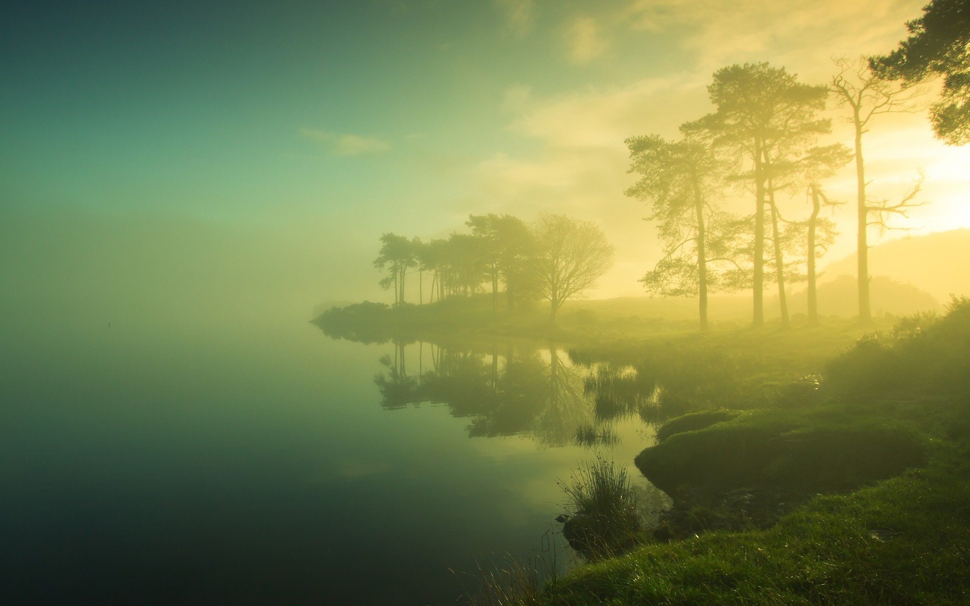 Misty lake with trees and reflections HD Wallpaper