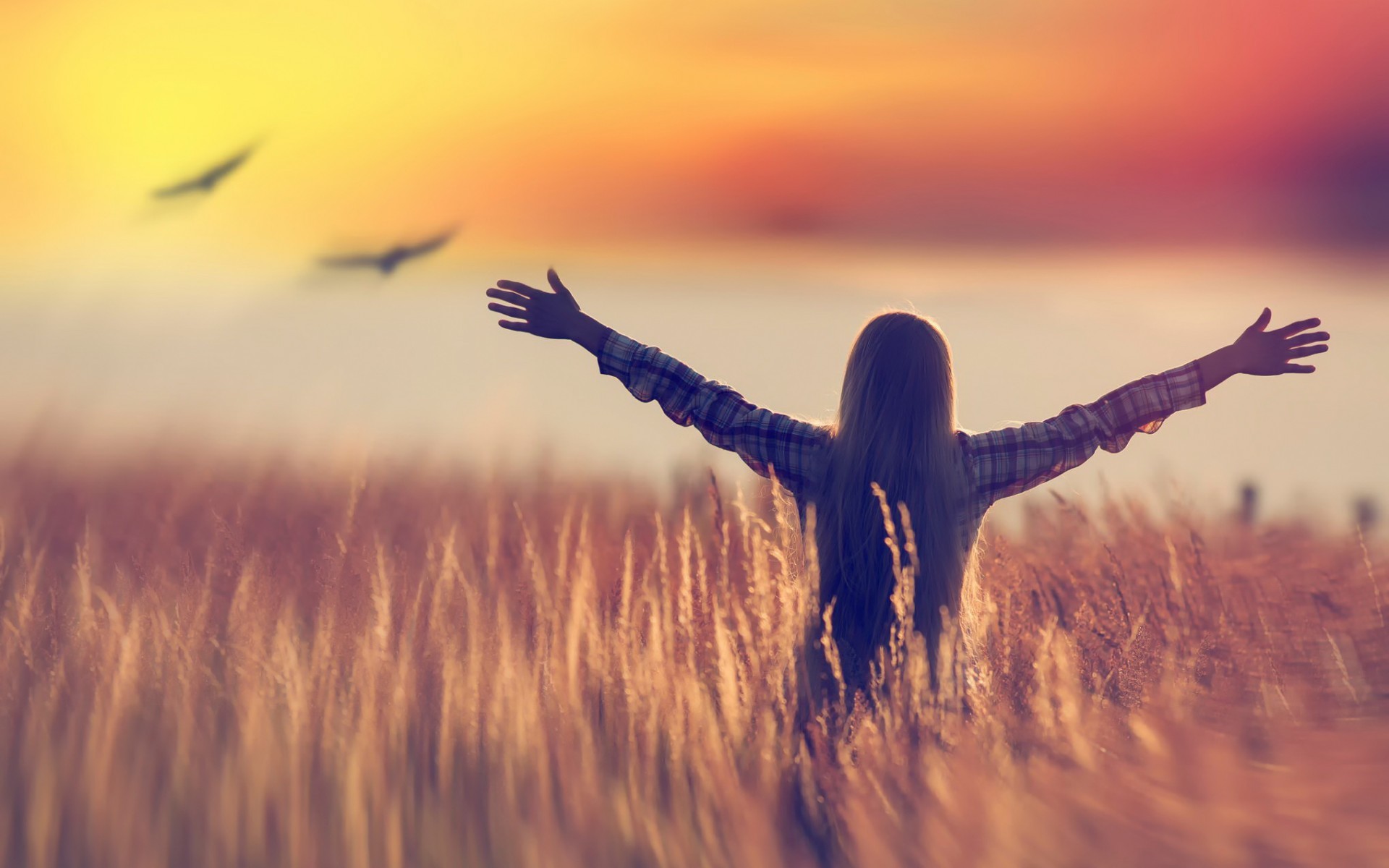 Woman with arms outstretched in a field at sunset HD Wallpaper