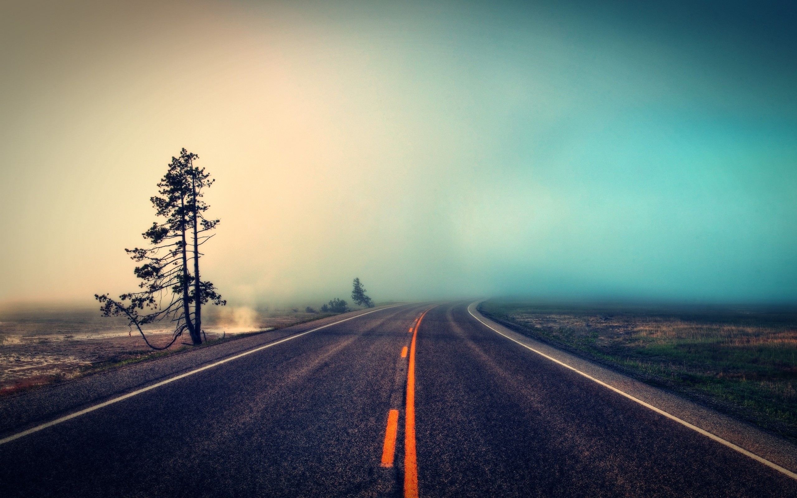 A lonely road through a misty landscape HD Wallpaper