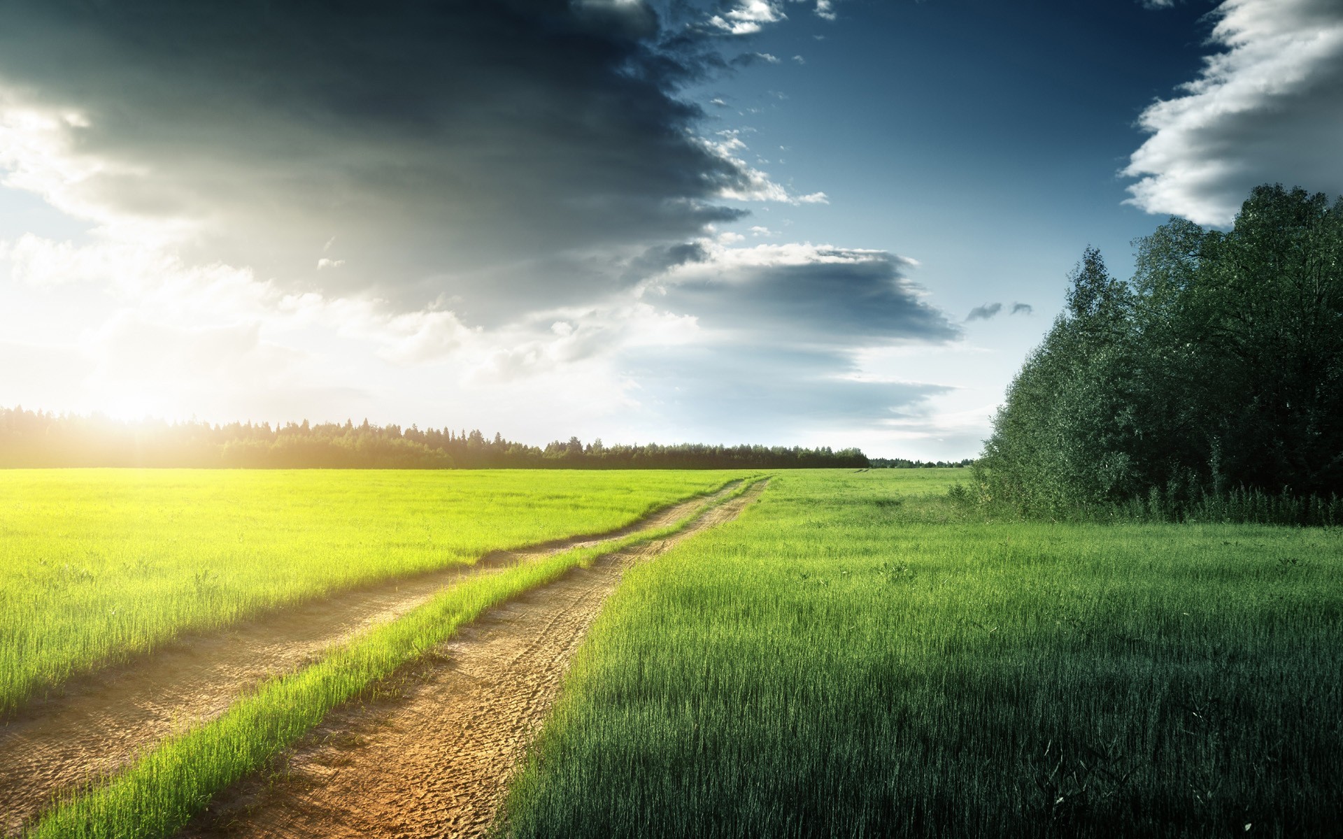 Dirt road through a green field at sunset HD Wallpaper