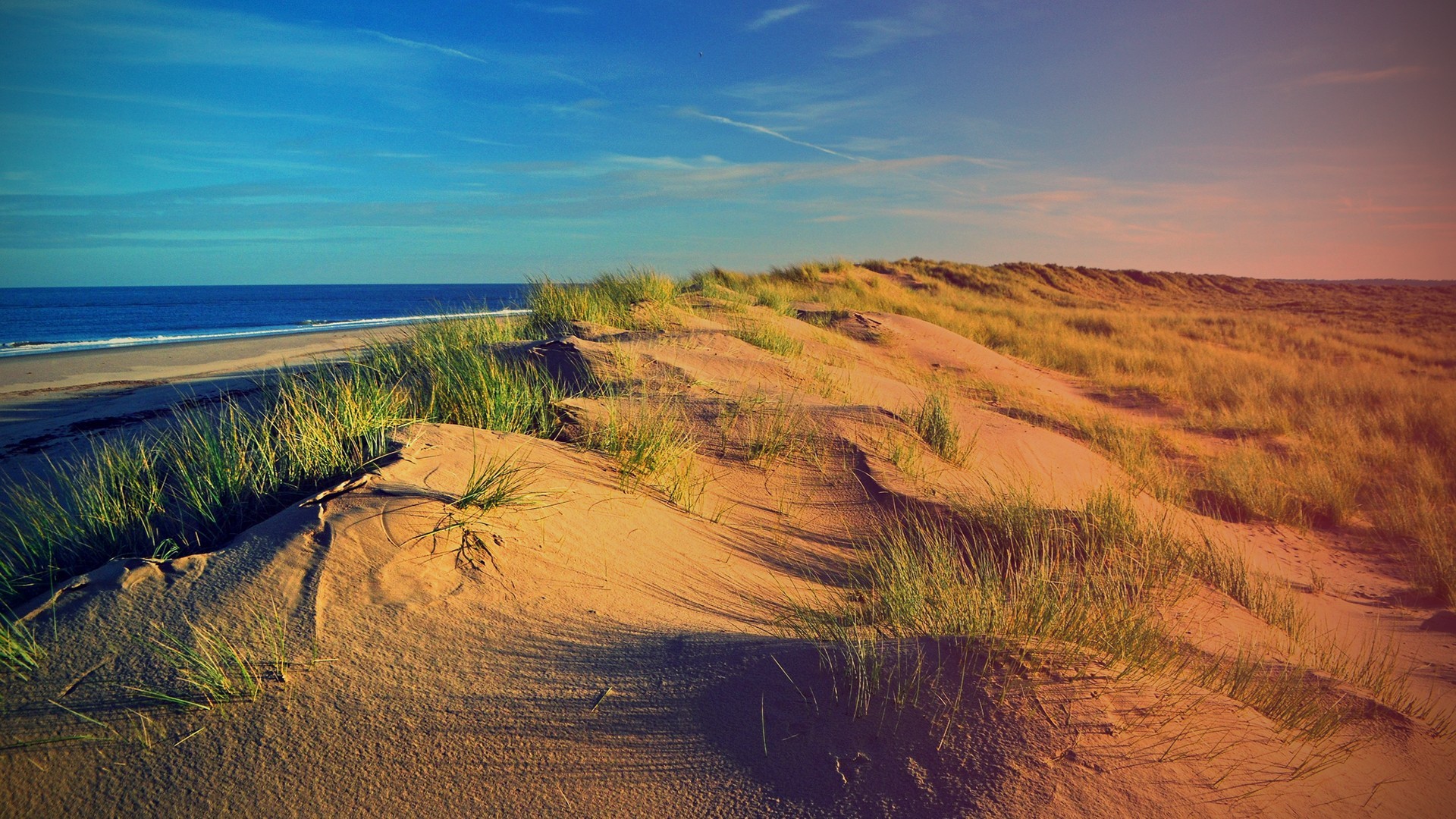 Beach dunes with grass and the sea HD Wallpaper