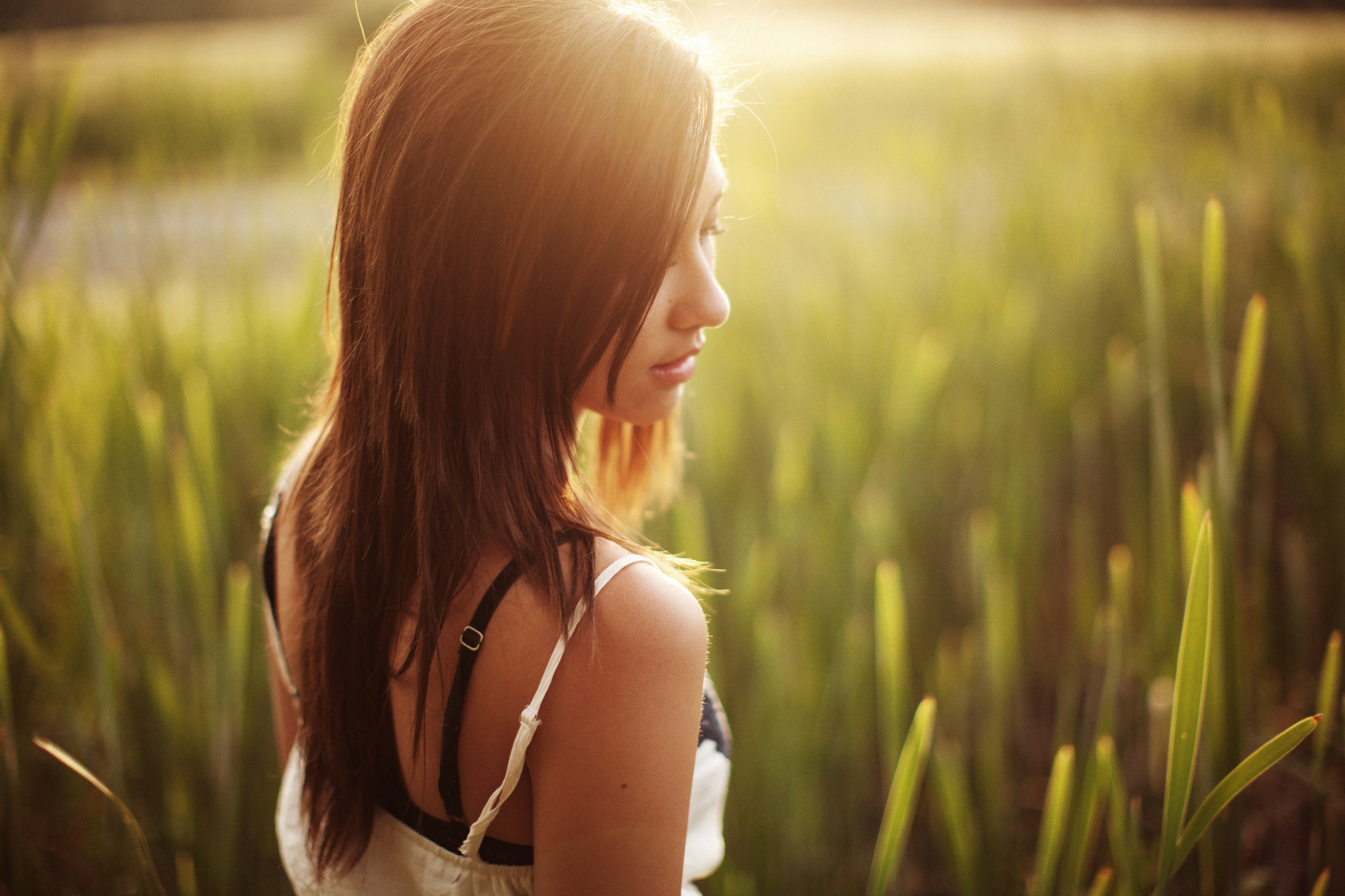 Woman in a field with tall grass HD Wallpaper