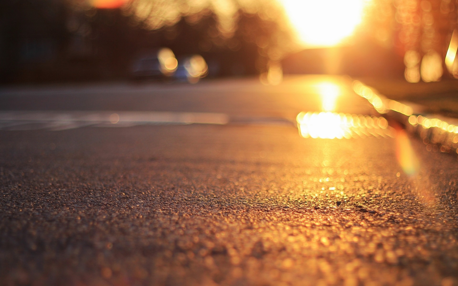 Road with bokeh and sunlight HD Wallpaper