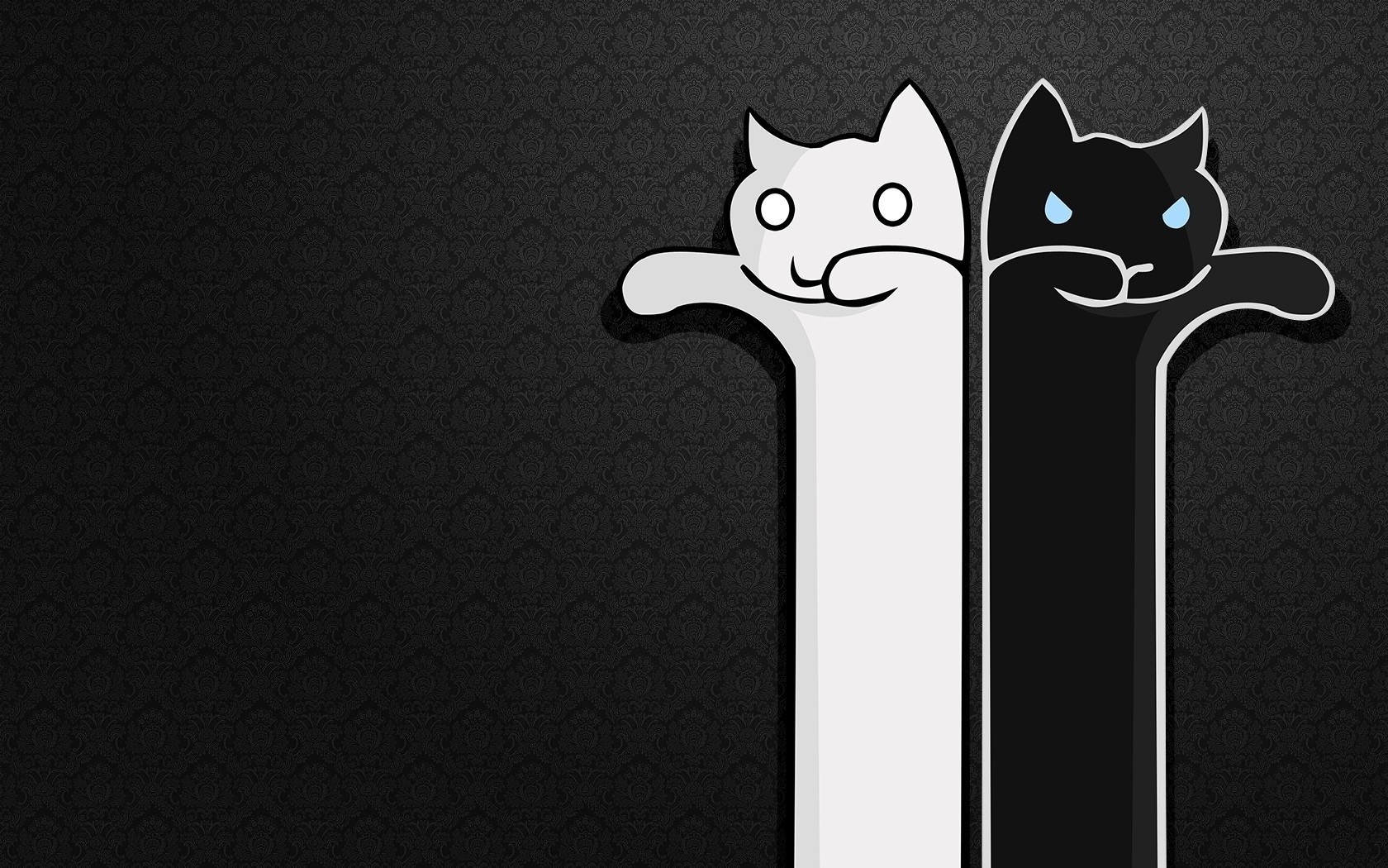 Two stylized cats, one white and one black, against a dark patterned background HD Wallpaper