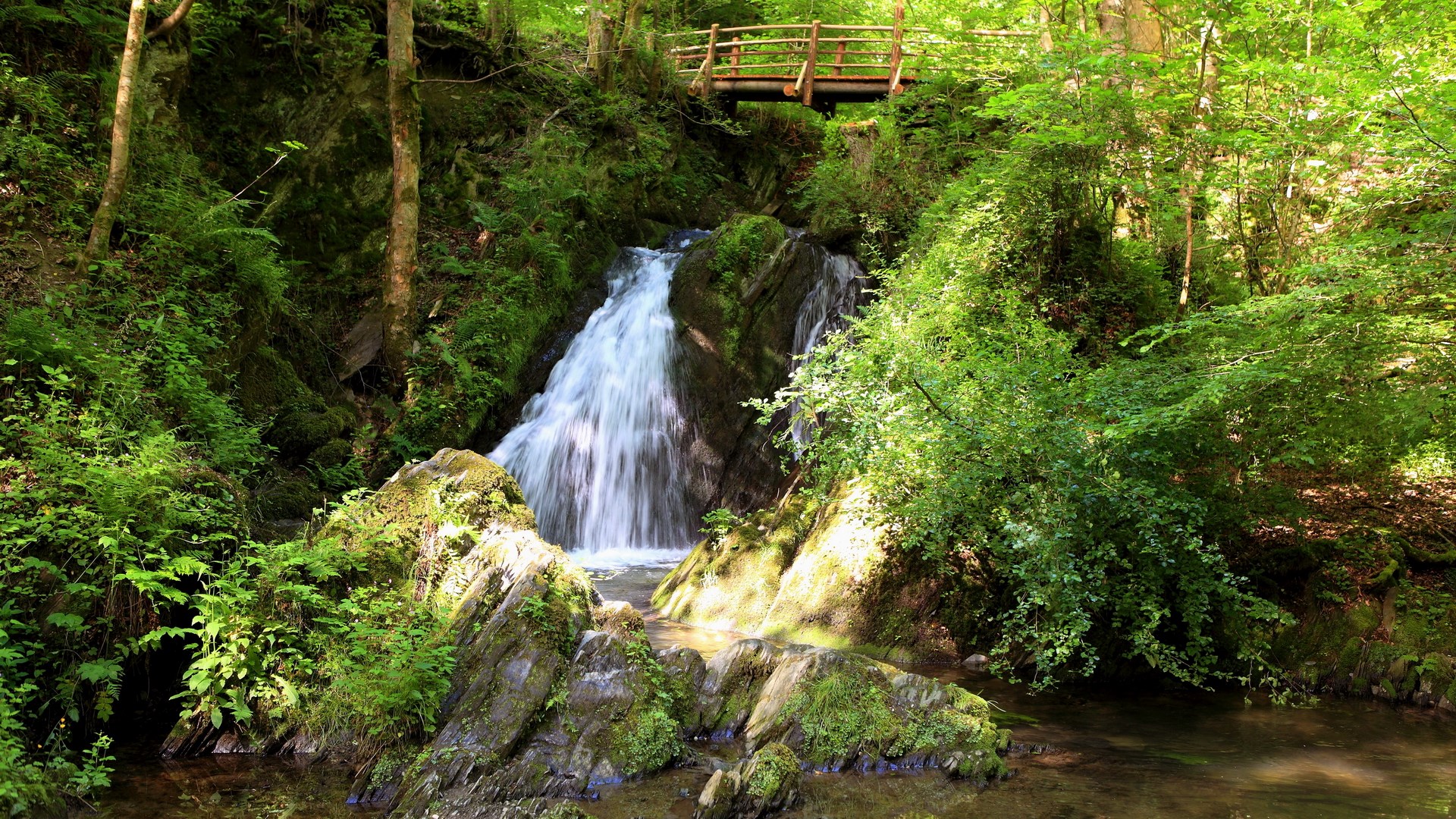 Waterfall in a lush green forest with a wooden bridge HD Wallpaper