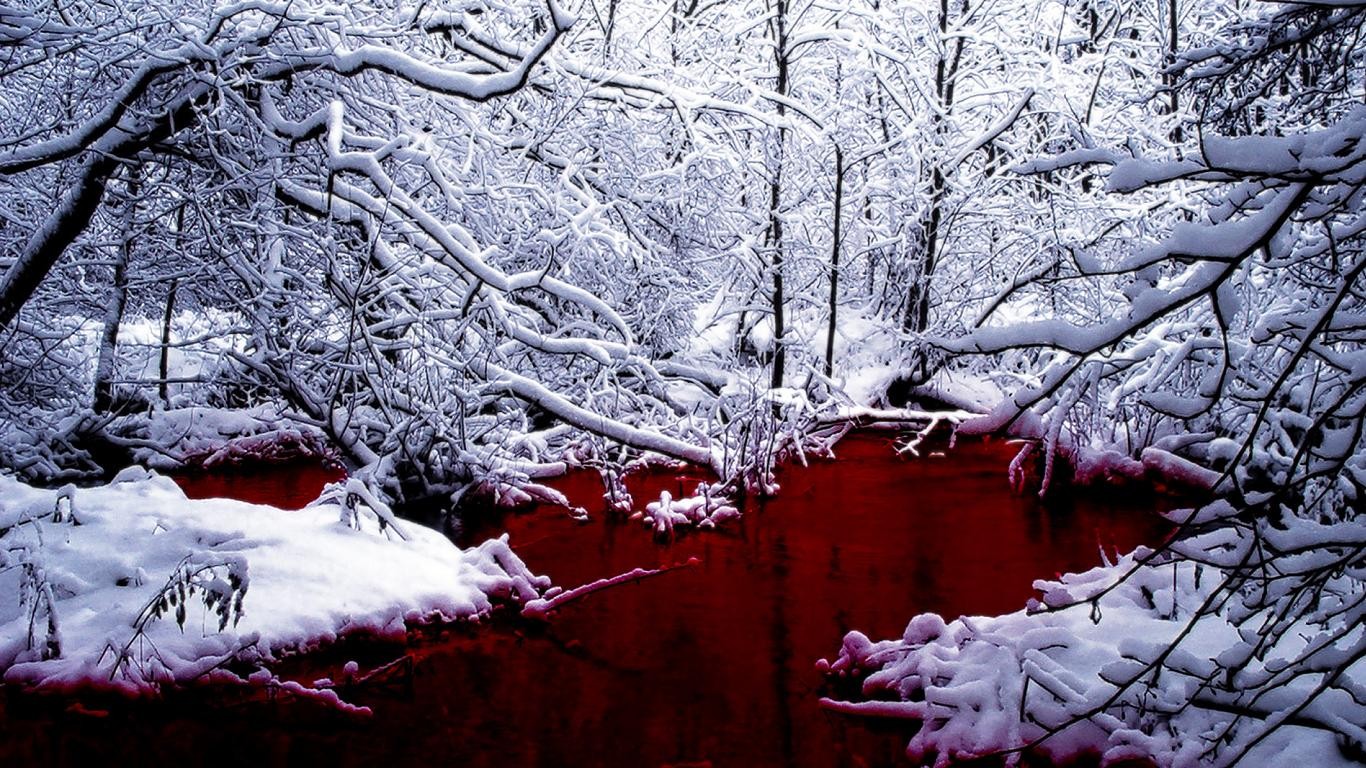 Snow-covered trees and a red river in a winter landscape HD Wallpaper