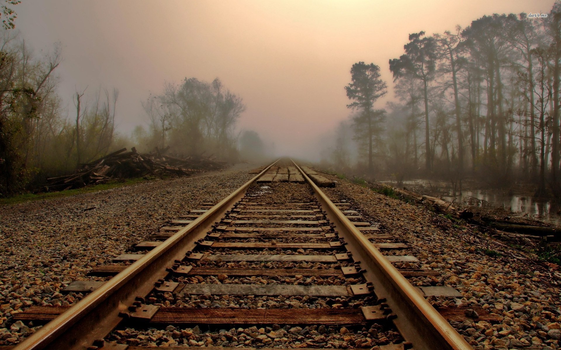 Railway tracks disappearing into a misty forest landscape HD Wallpaper