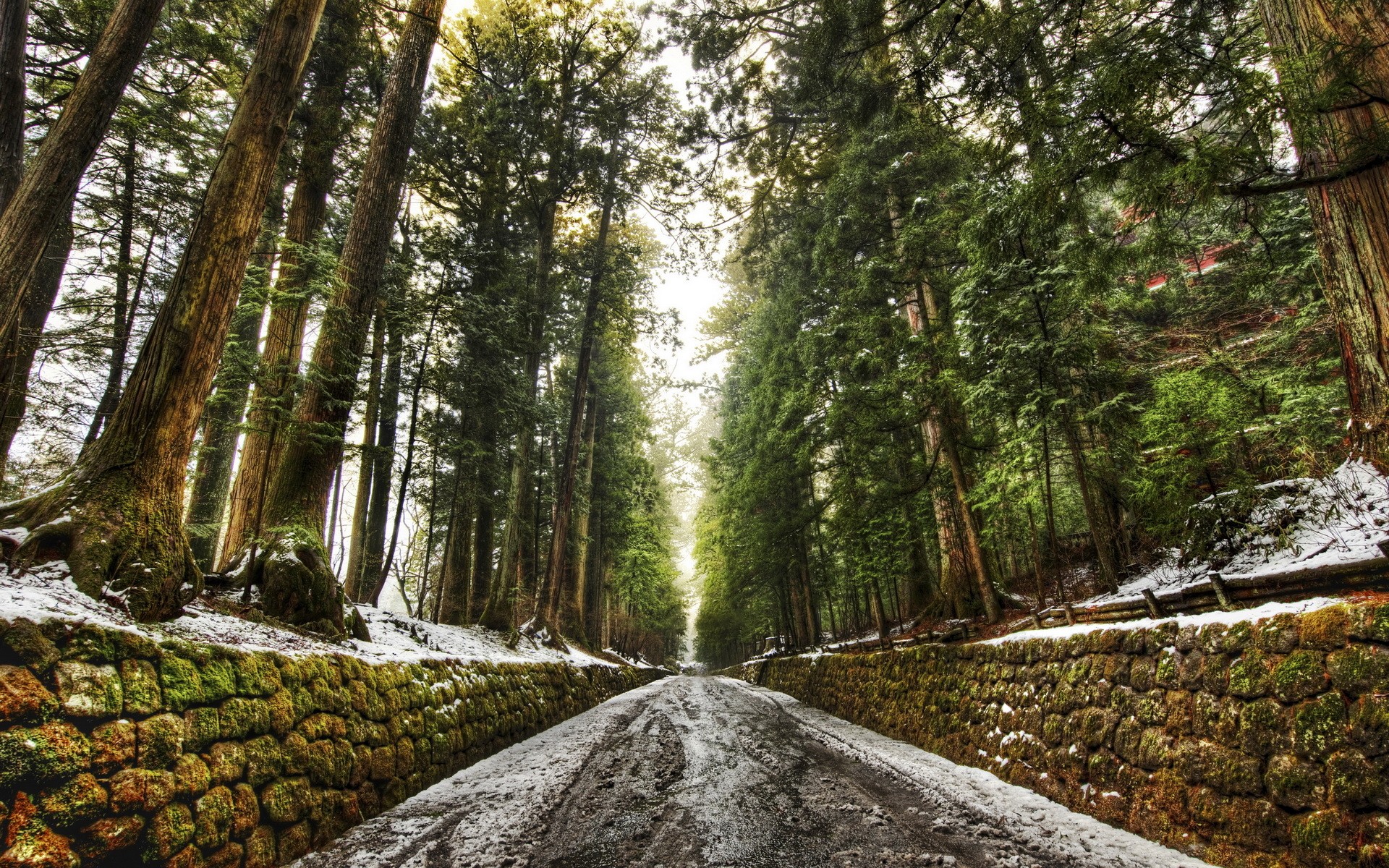 Snowy road lined with stone walls and tall trees HD Wallpaper