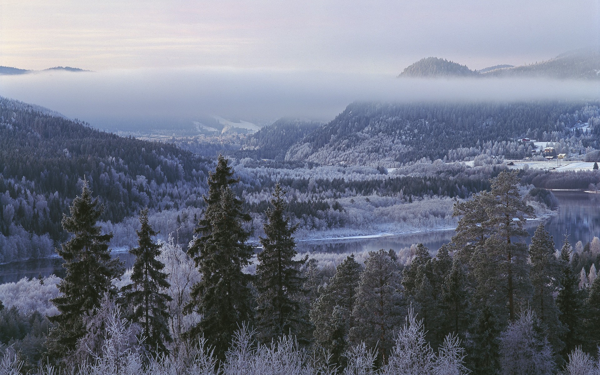 Winter landscape with fog over a forest and river HD Wallpaper