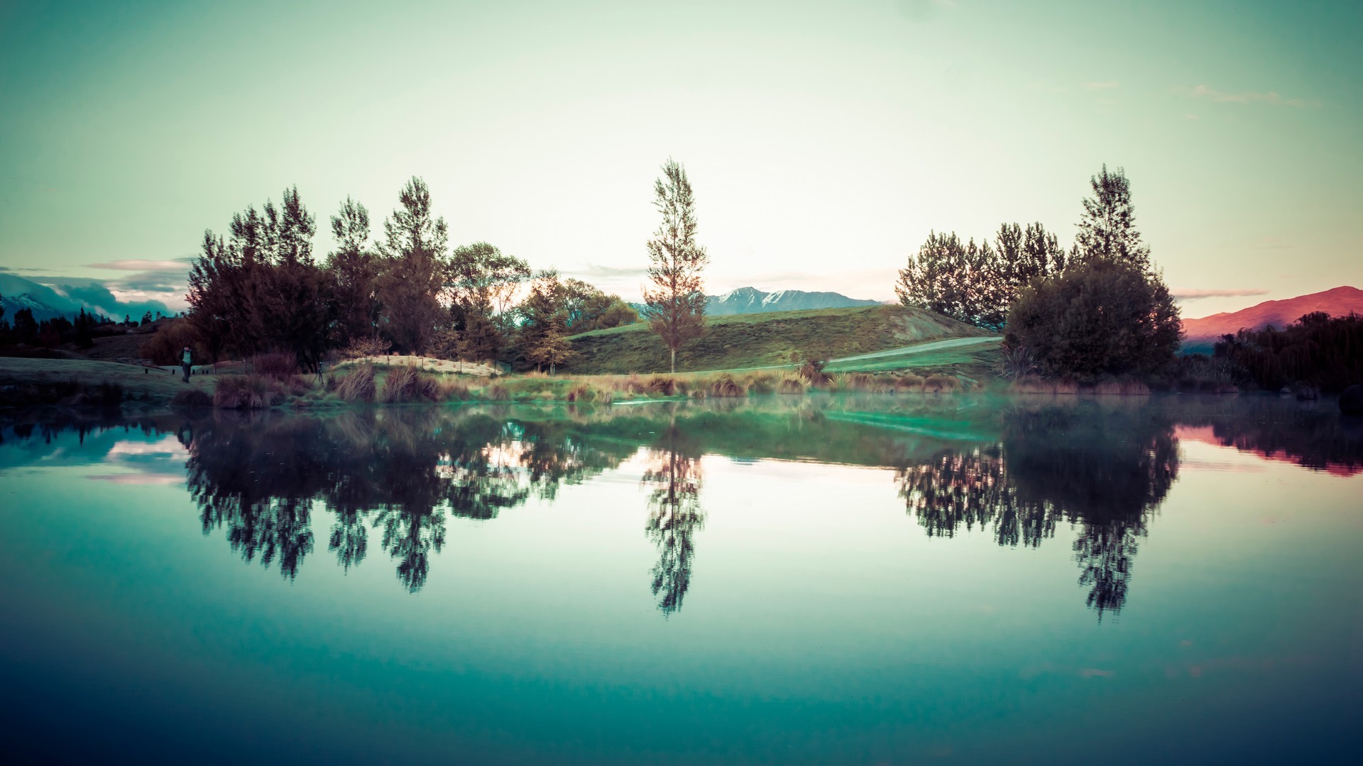 Trees reflected in a calm lake at sunset HD Wallpaper