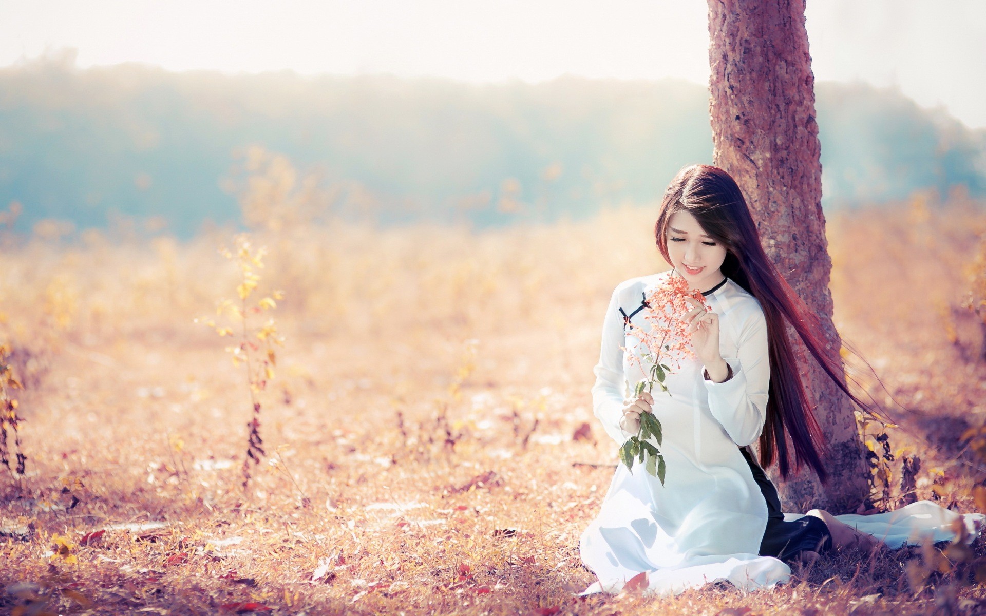 Asian woman in traditional dress holding flowers by a tree HD Wallpaper