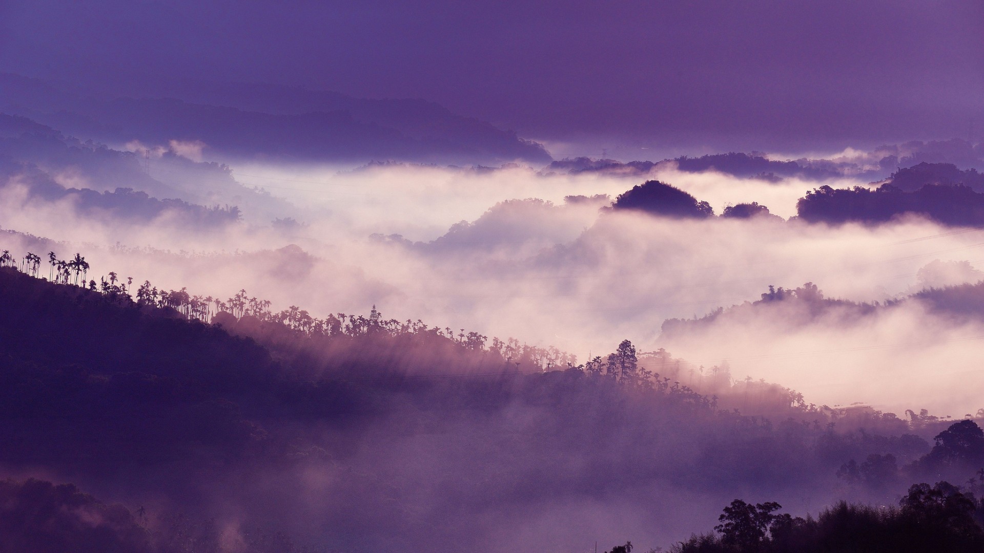 Misty mountains with purple sky and trees HD Wallpaper