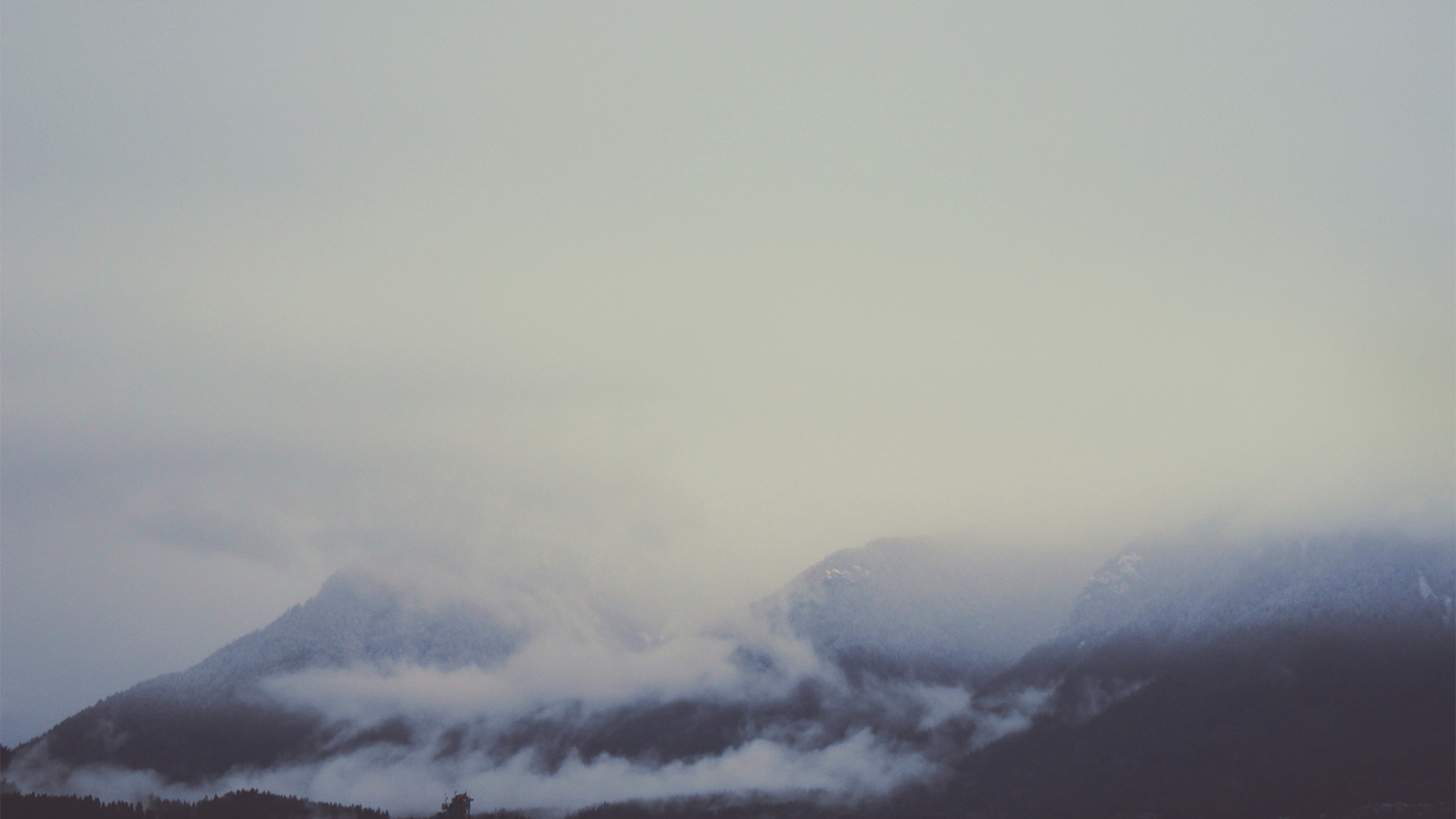 Misty mountains landscape with evergreen trees HD Wallpaper