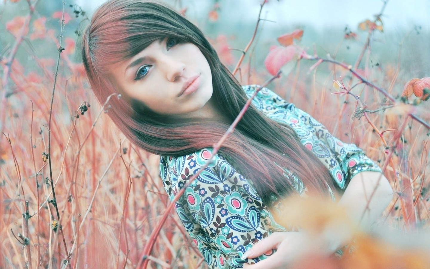 Young woman with long brown hair in a field HD Wallpaper