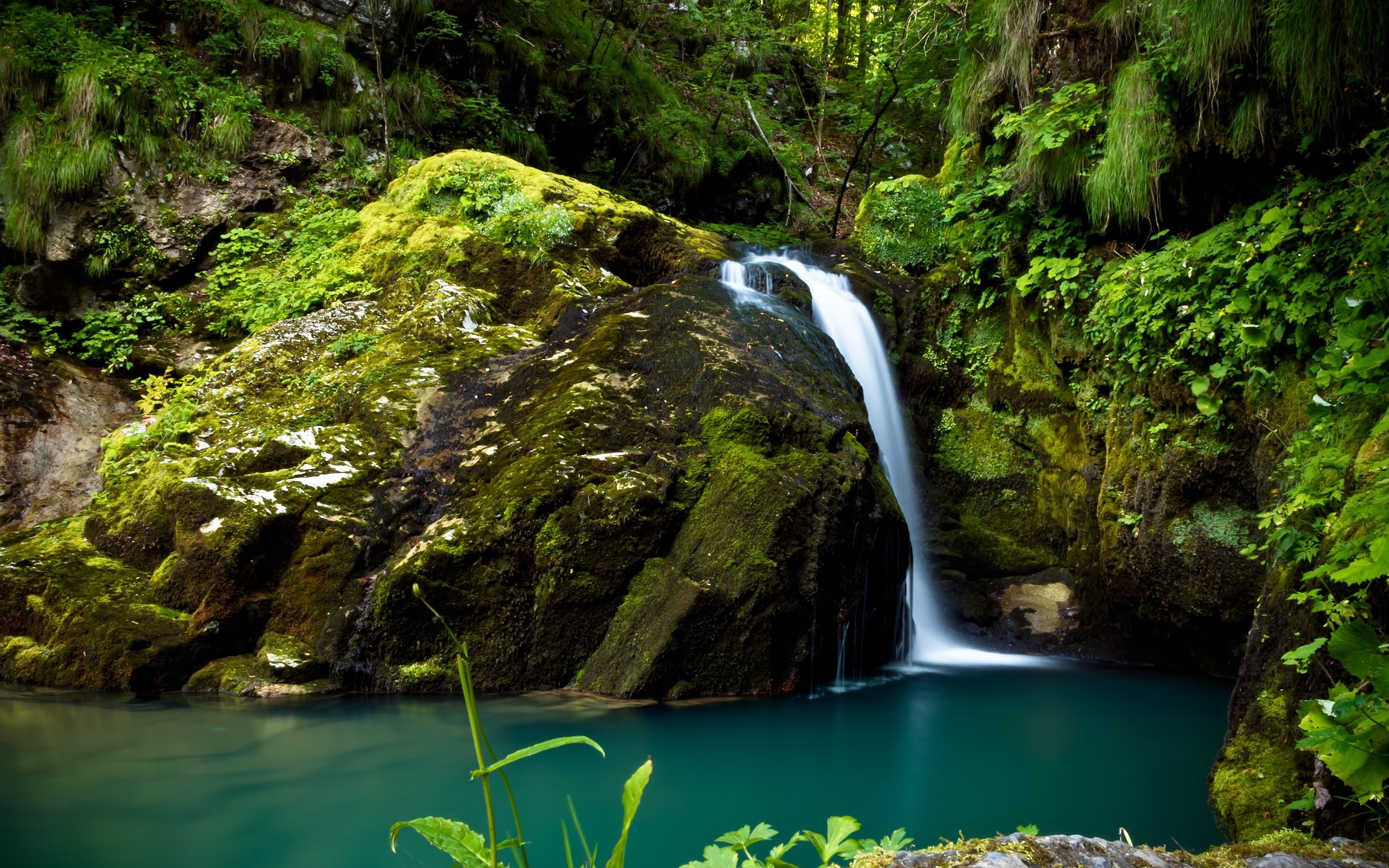 Waterfall cascading into a turquoise pool in a mossy forest HD Wallpaper