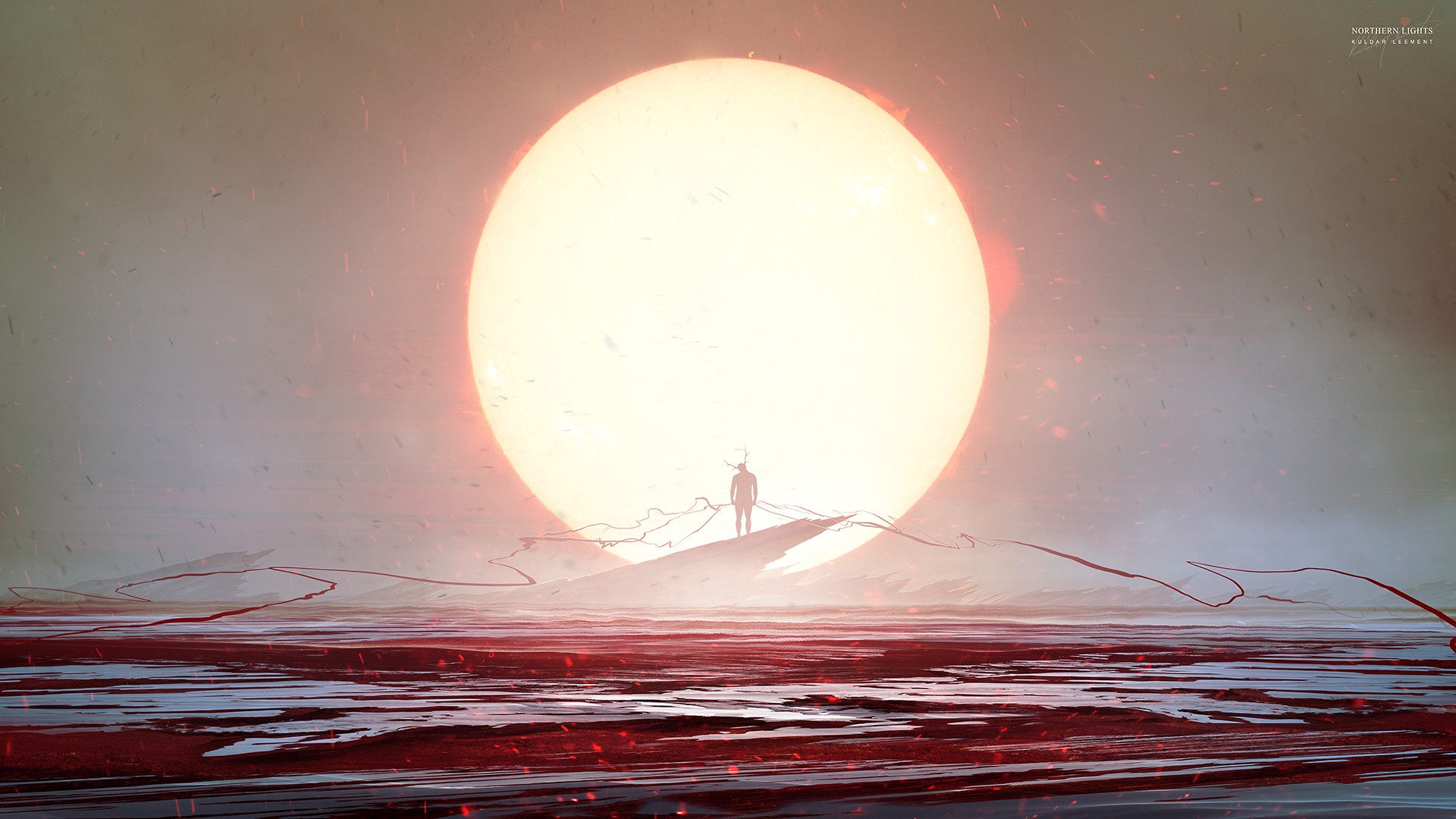 Kuldar Leement with a large sun in the background HD Wallpaper