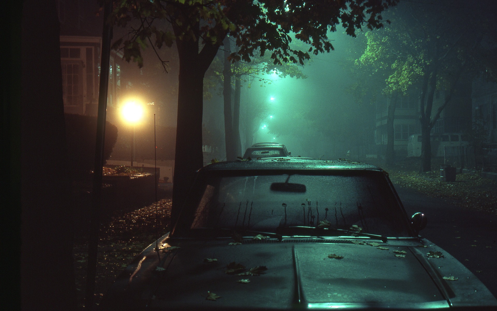 Foggy night street with parked cars and streetlights HD Wallpaper
