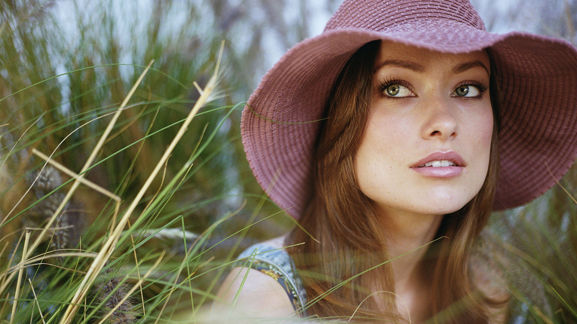 Olivia Wilde wearing a sun hat in tall grass HD Wallpaper