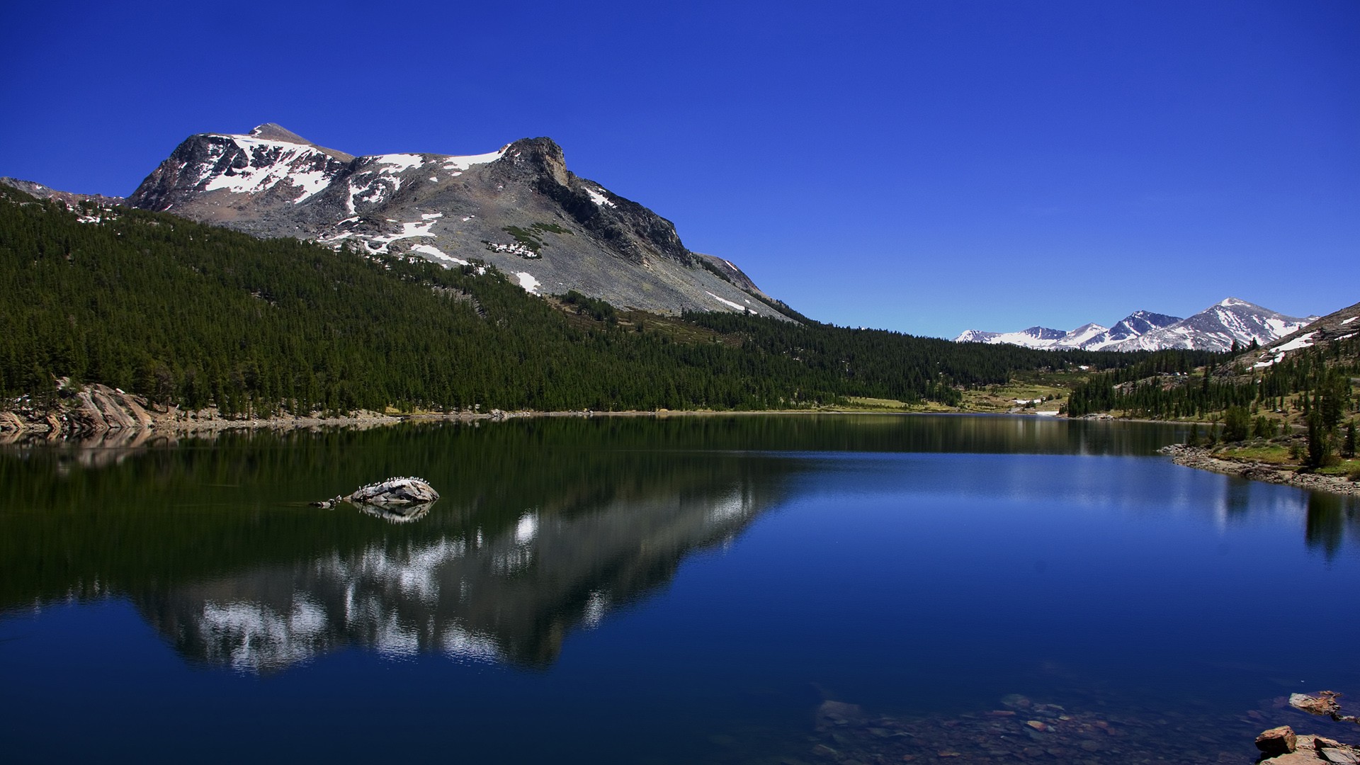 Lake Tioga reflection with mountains and forest HD Wallpaper