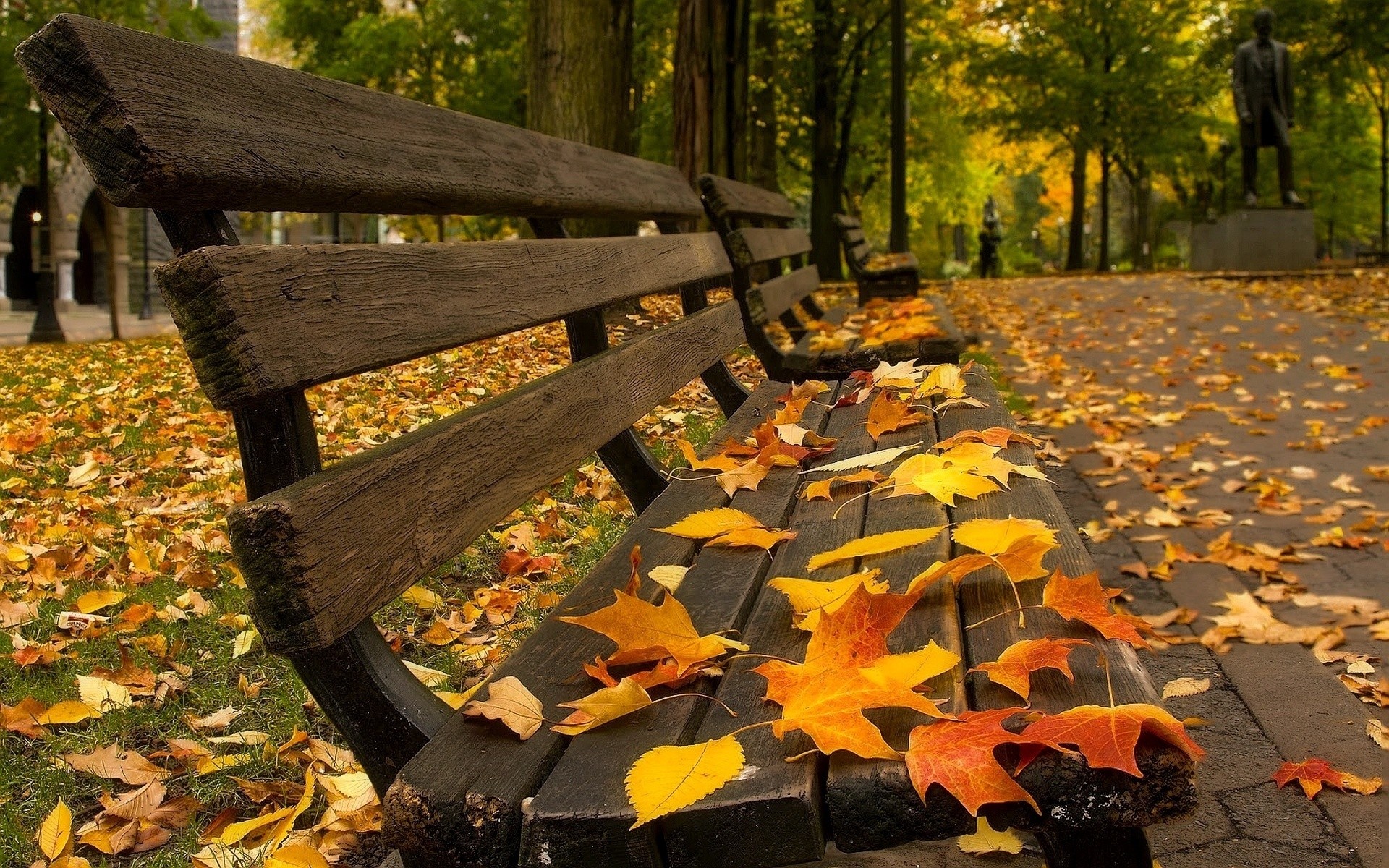 Autumn leaves on a park bench HD Wallpaper