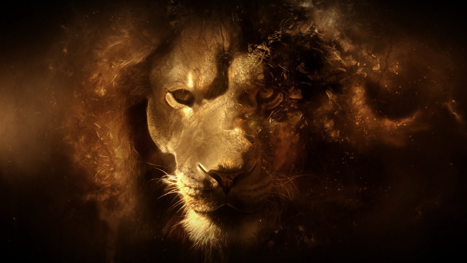 Digital art of a lion's face HD Wallpaper