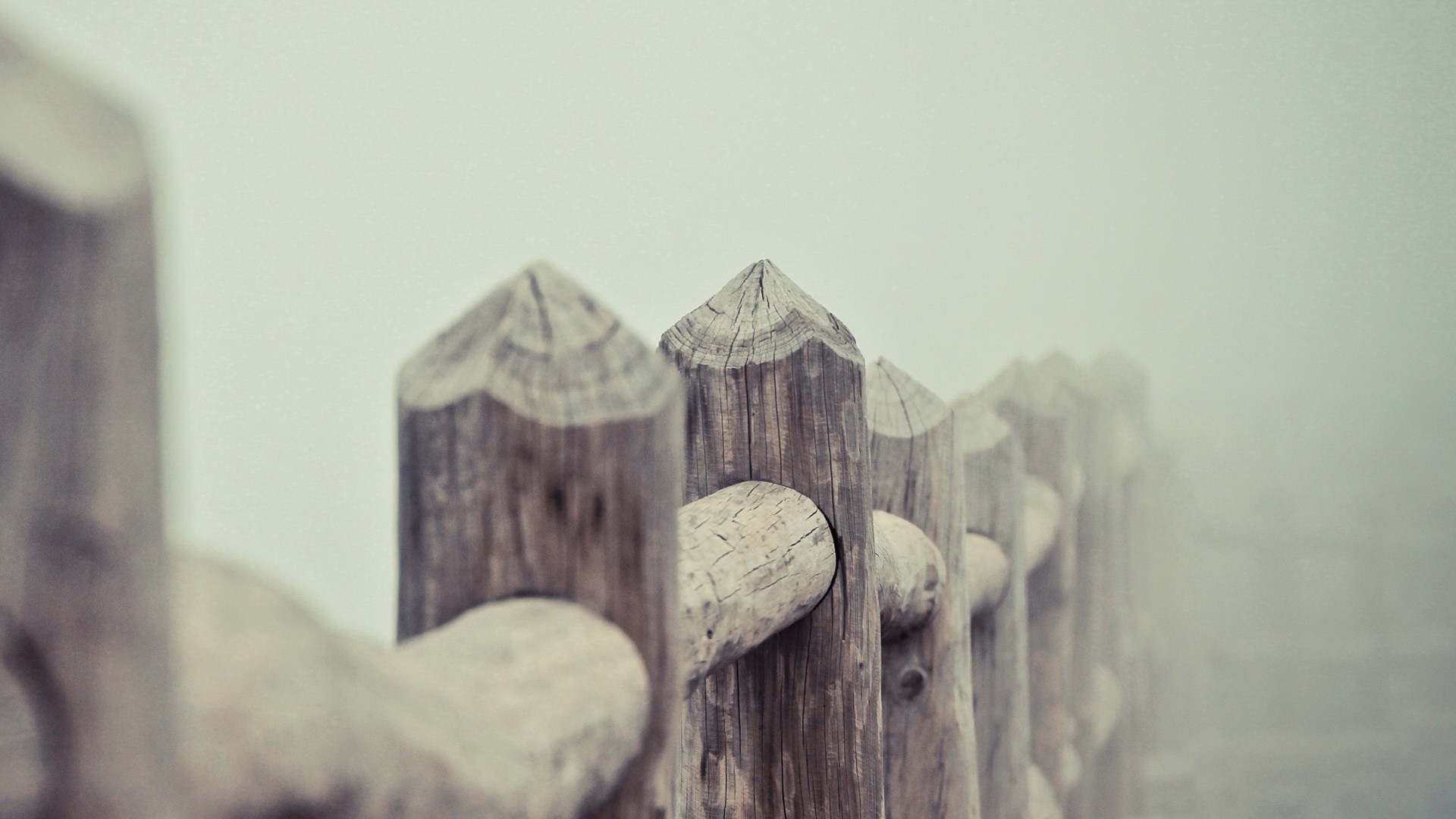 Wooden fence posts in the mist HD Wallpaper