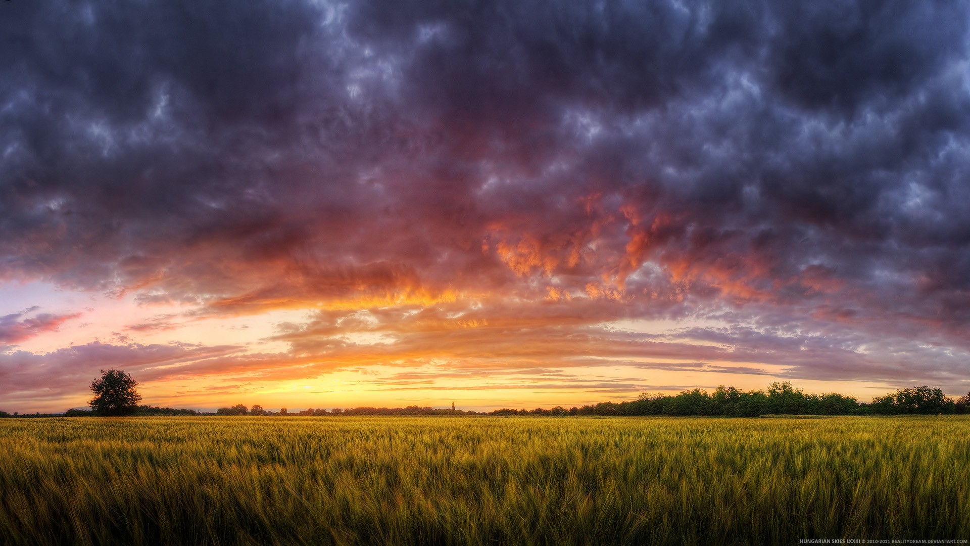 Sunset over a field with dramatic clouds HD Wallpaper