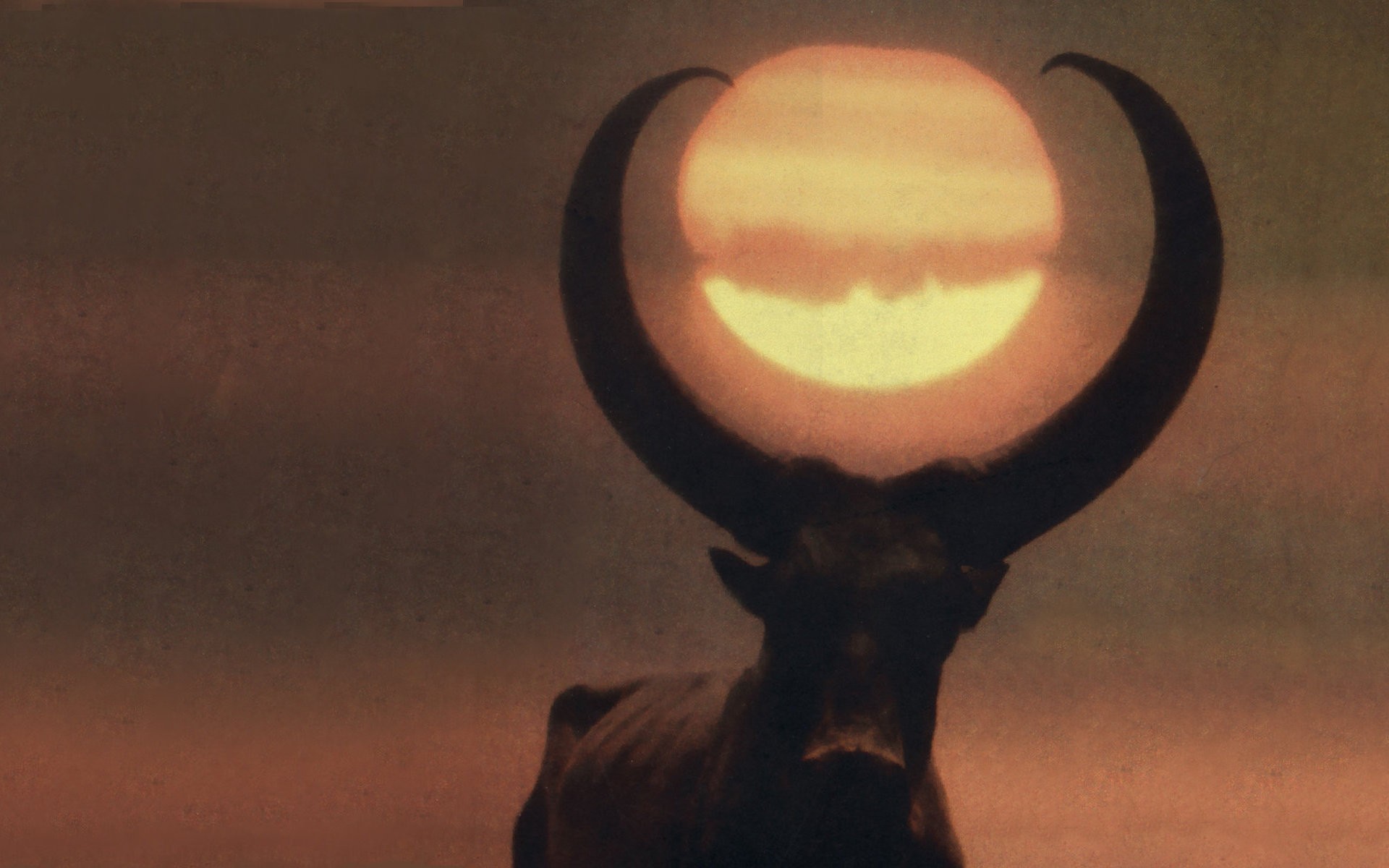 Bull with horns framing the sun HD Wallpaper