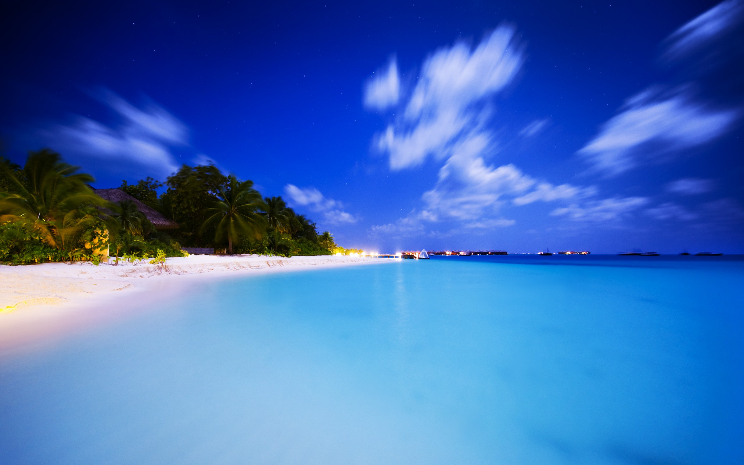 Tropical beach at night with palm trees and ocean HD Wallpaper