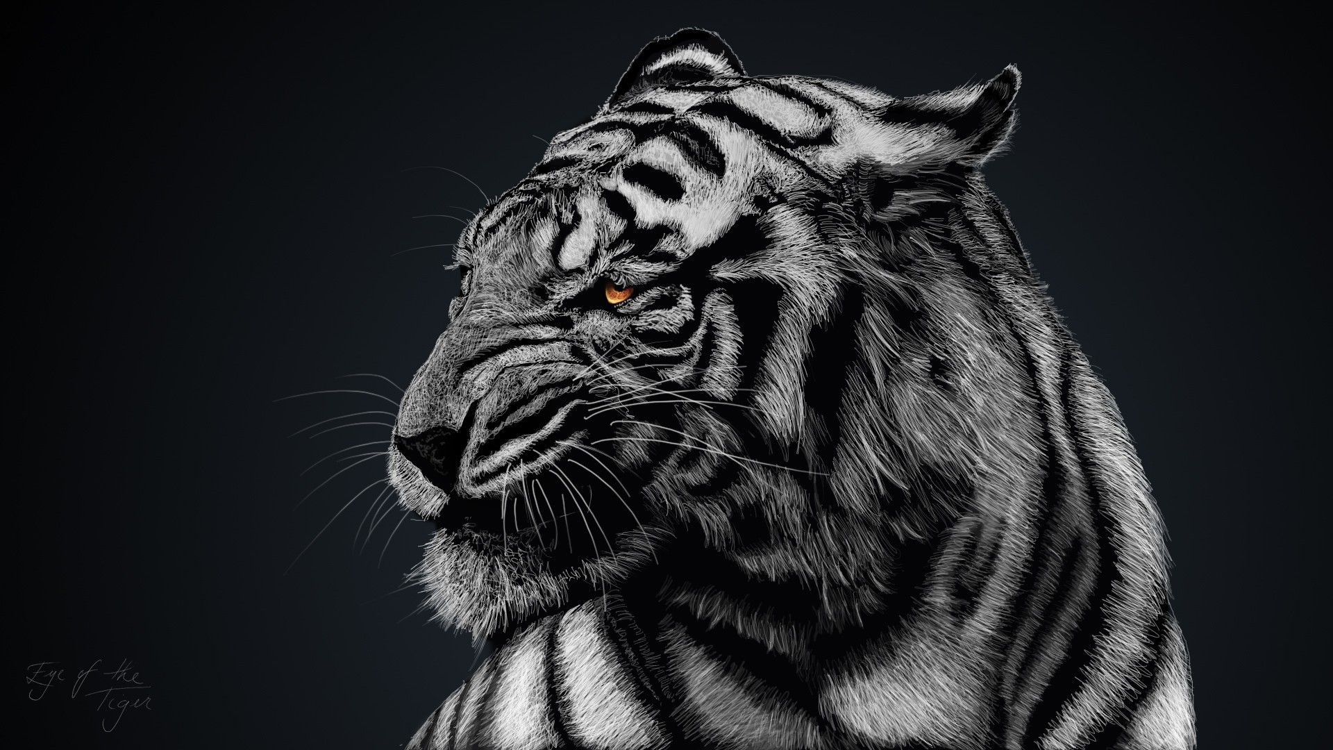 Black and white tiger with orange eyes HD Wallpaper