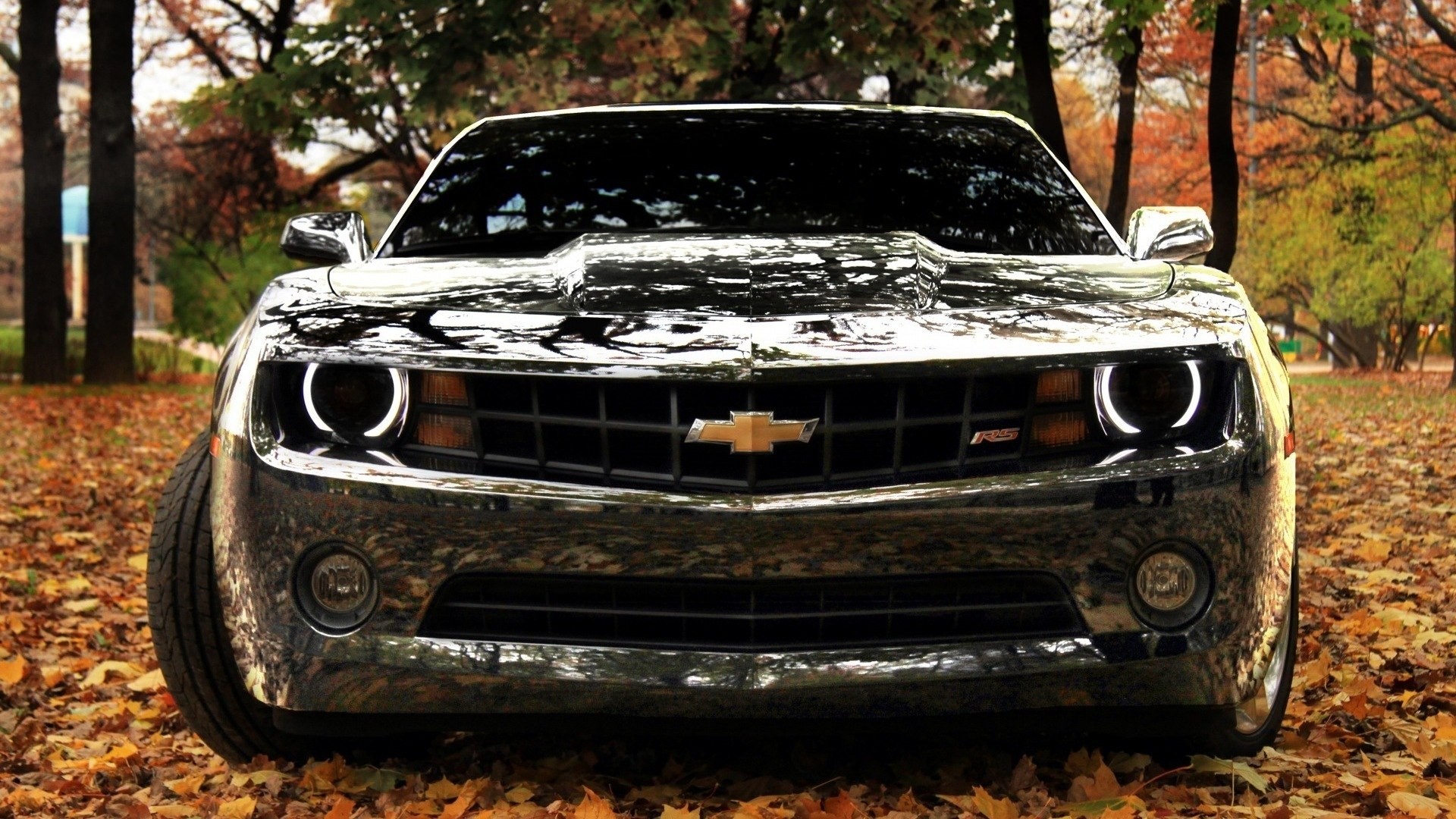 Black Chevrolet Camaro RS parked on fallen leaves HD Wallpaper