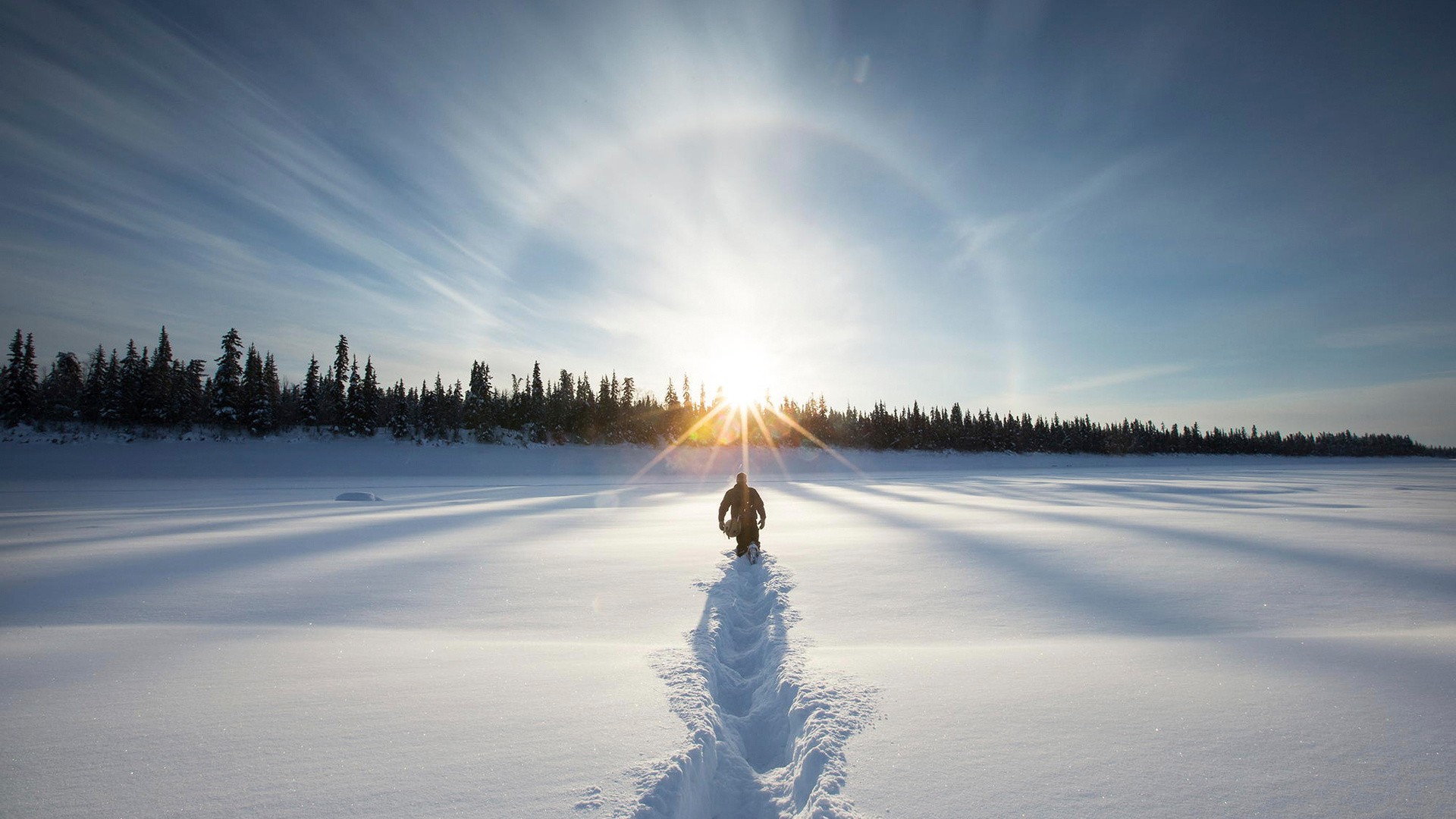 Person walking through a snowy landscape with a forest and sun halo HD Wallpaper