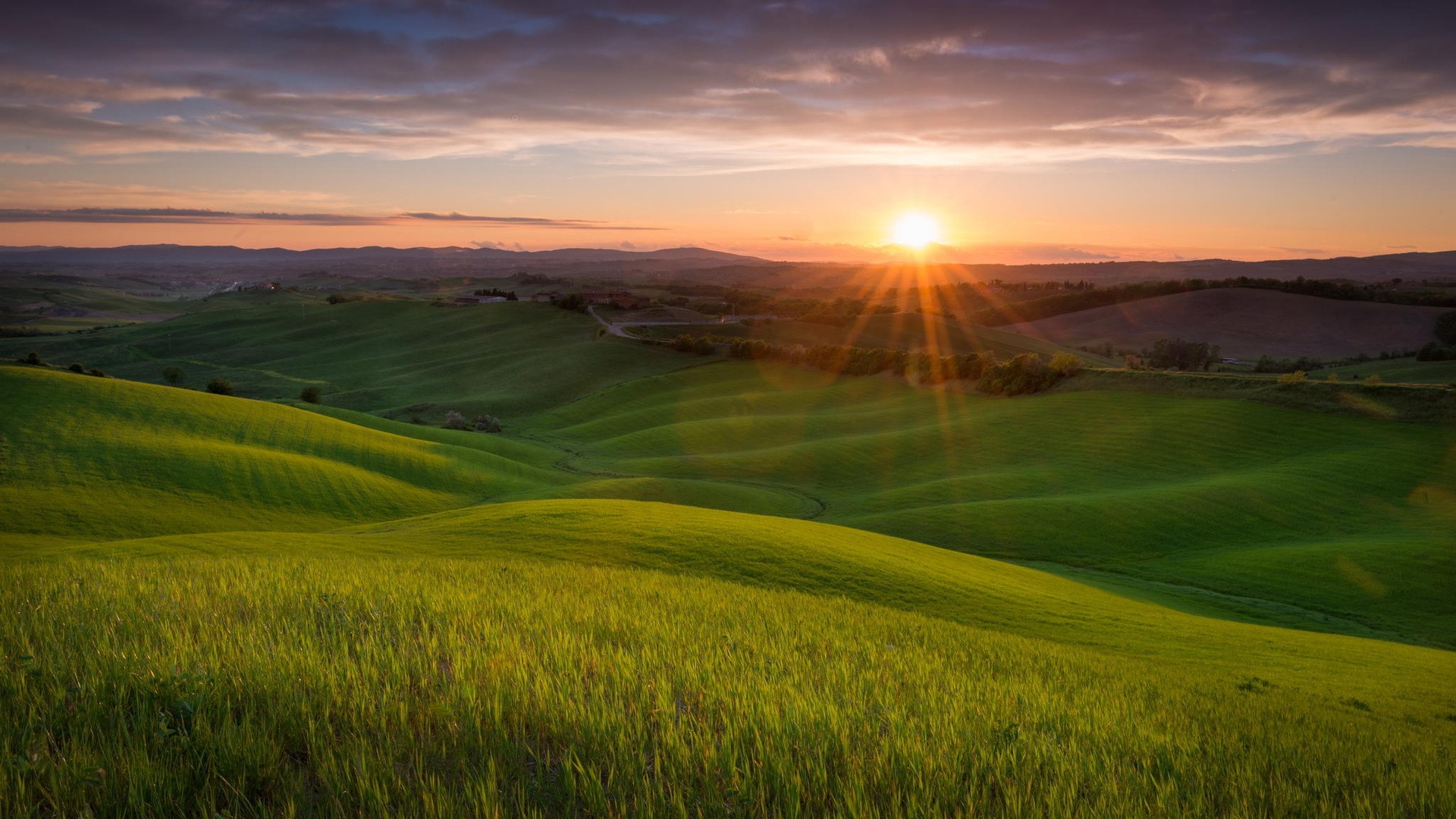 Rolling green hills at sunset with sun rays HD Wallpaper
