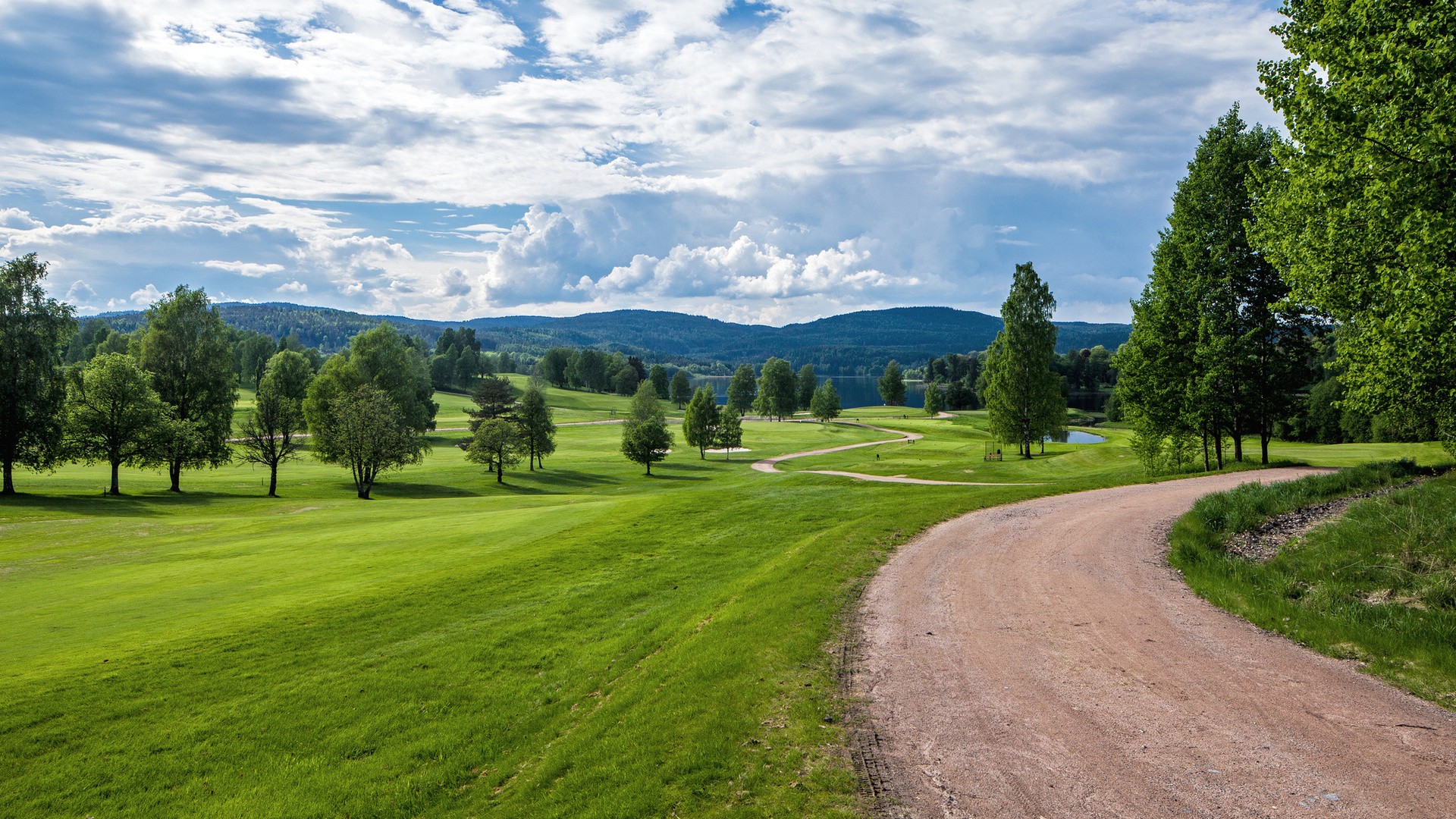 Golf course landscape with trees and a dirt road HD Wallpaper