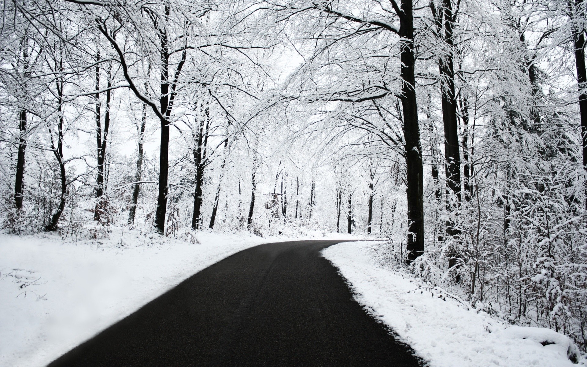 A snowy road winds through a winter forest HD Wallpaper