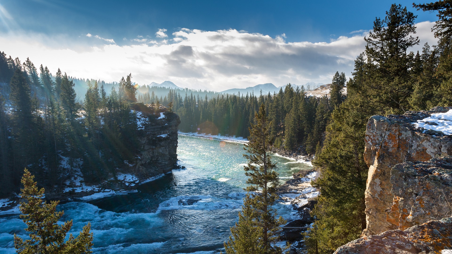 River flowing through a forest in Canada HD Wallpaper