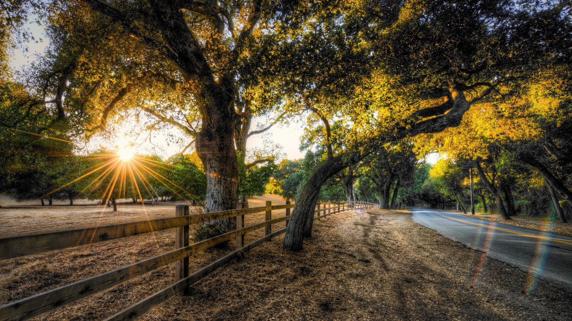 Sunset over a rural road with trees and a fence HD Wallpaper