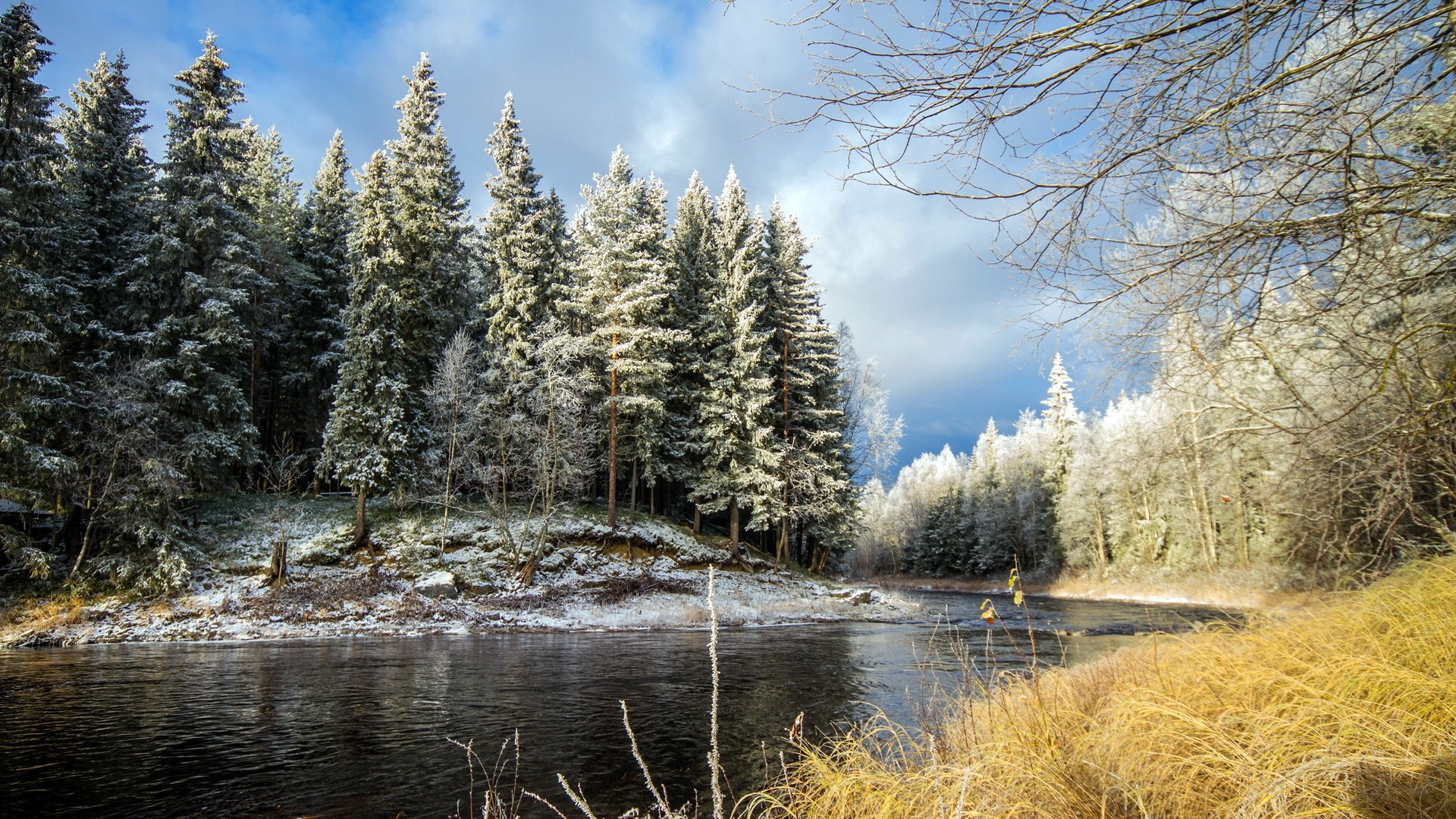 Winter forest landscape with a river and snow HD Wallpaper