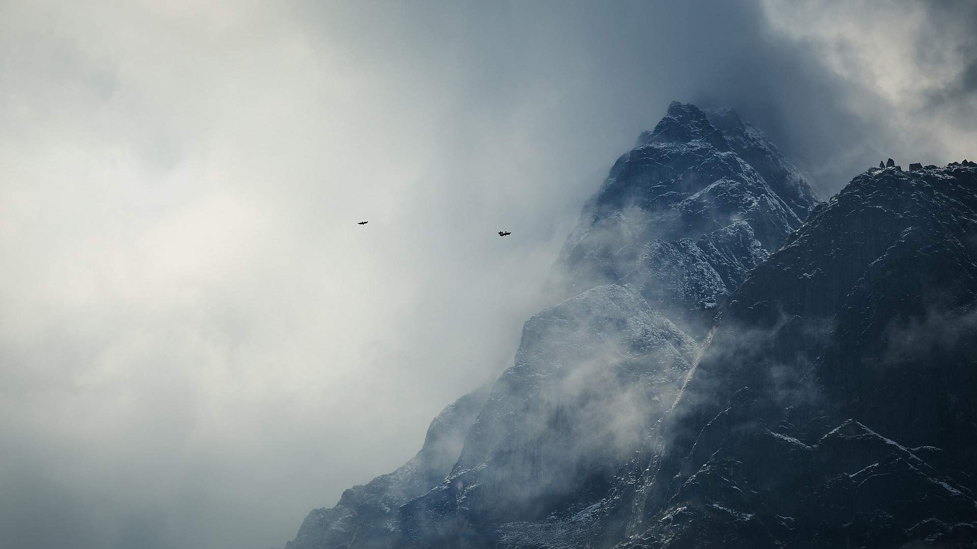 Birds flying near misty mountains HD Wallpaper