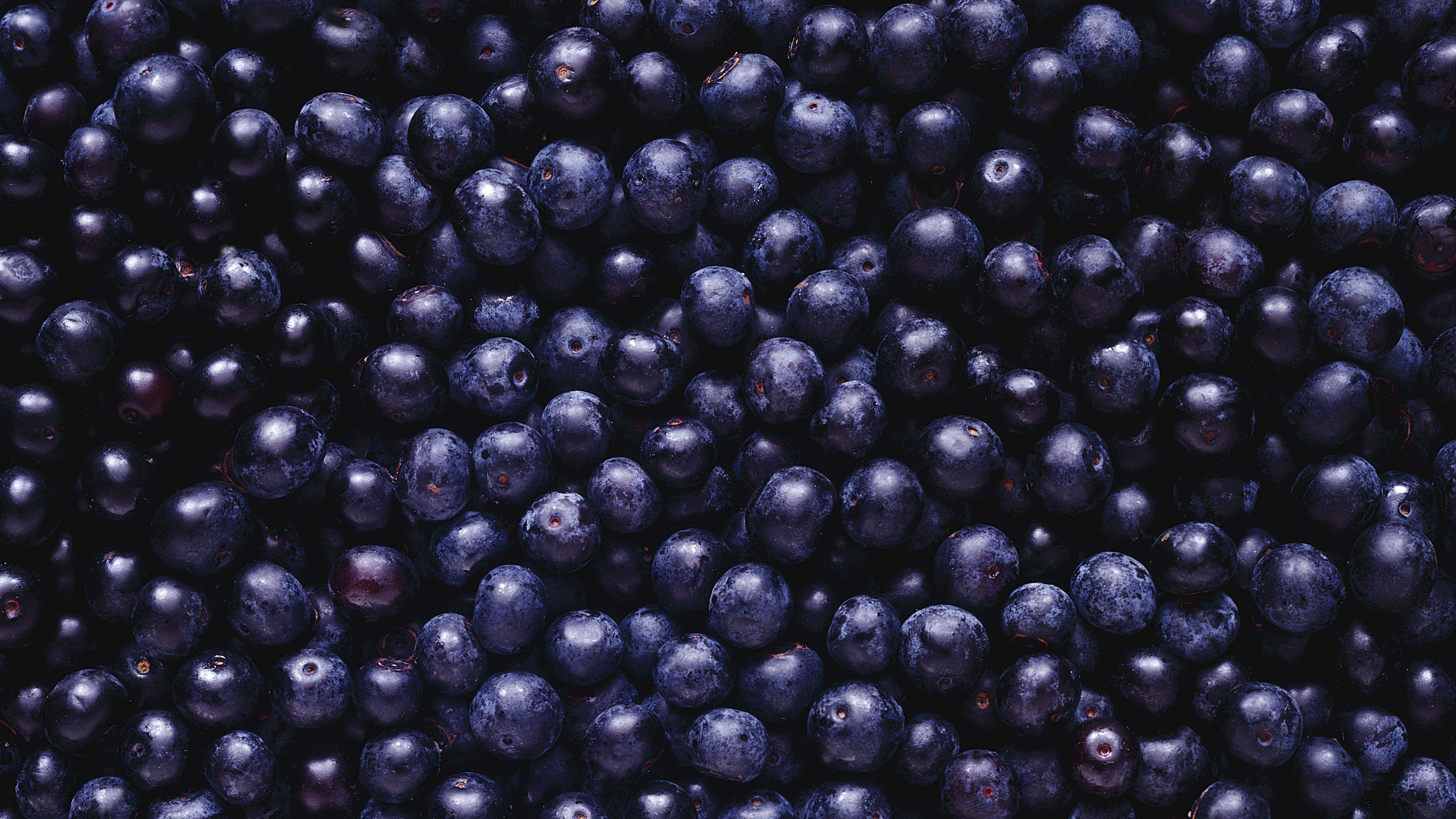 Close-up of fresh blueberries HD Wallpaper
