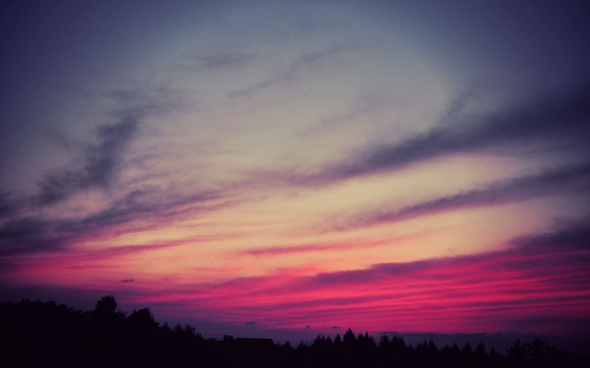 Silhouette of trees against a vibrant sunset sky HD Wallpaper