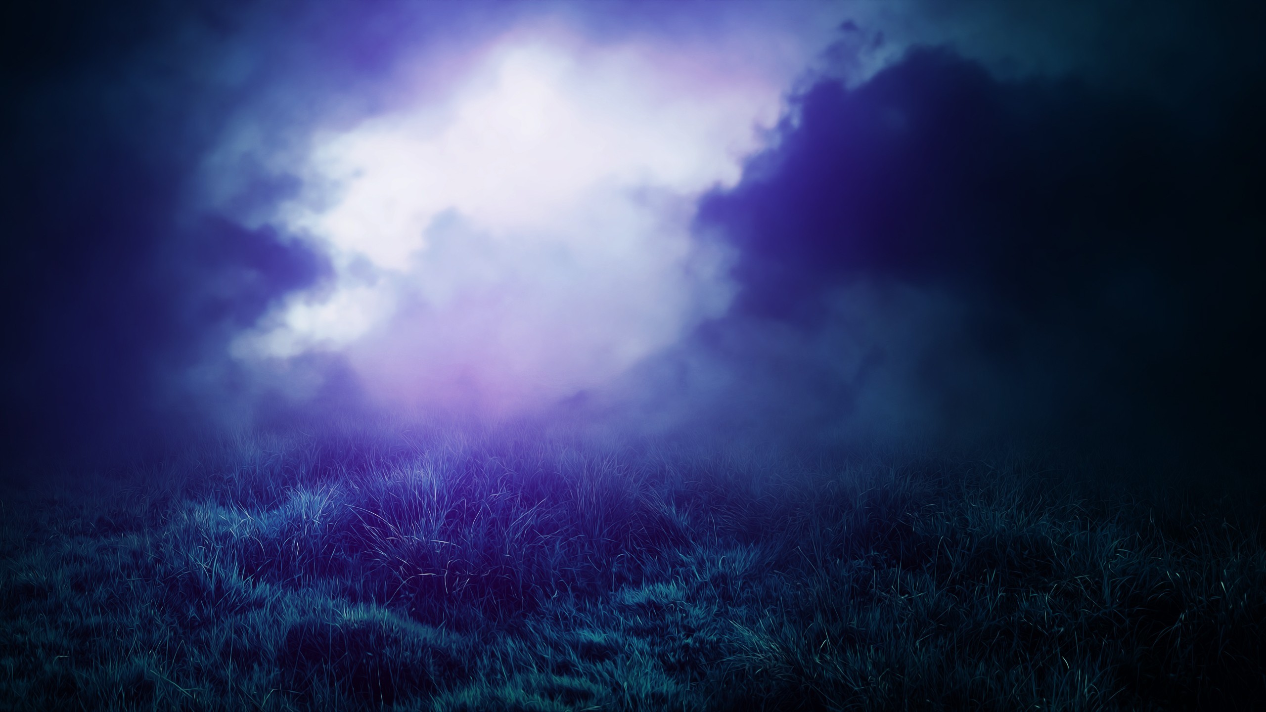 Misty landscape with grass and clouds HD Wallpaper