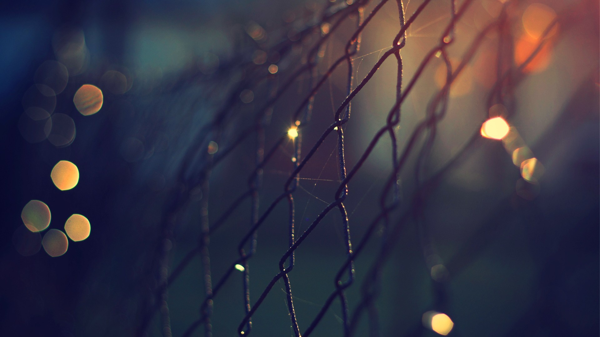 Macro shot of a chain-link fence with bokeh lights HD Wallpaper